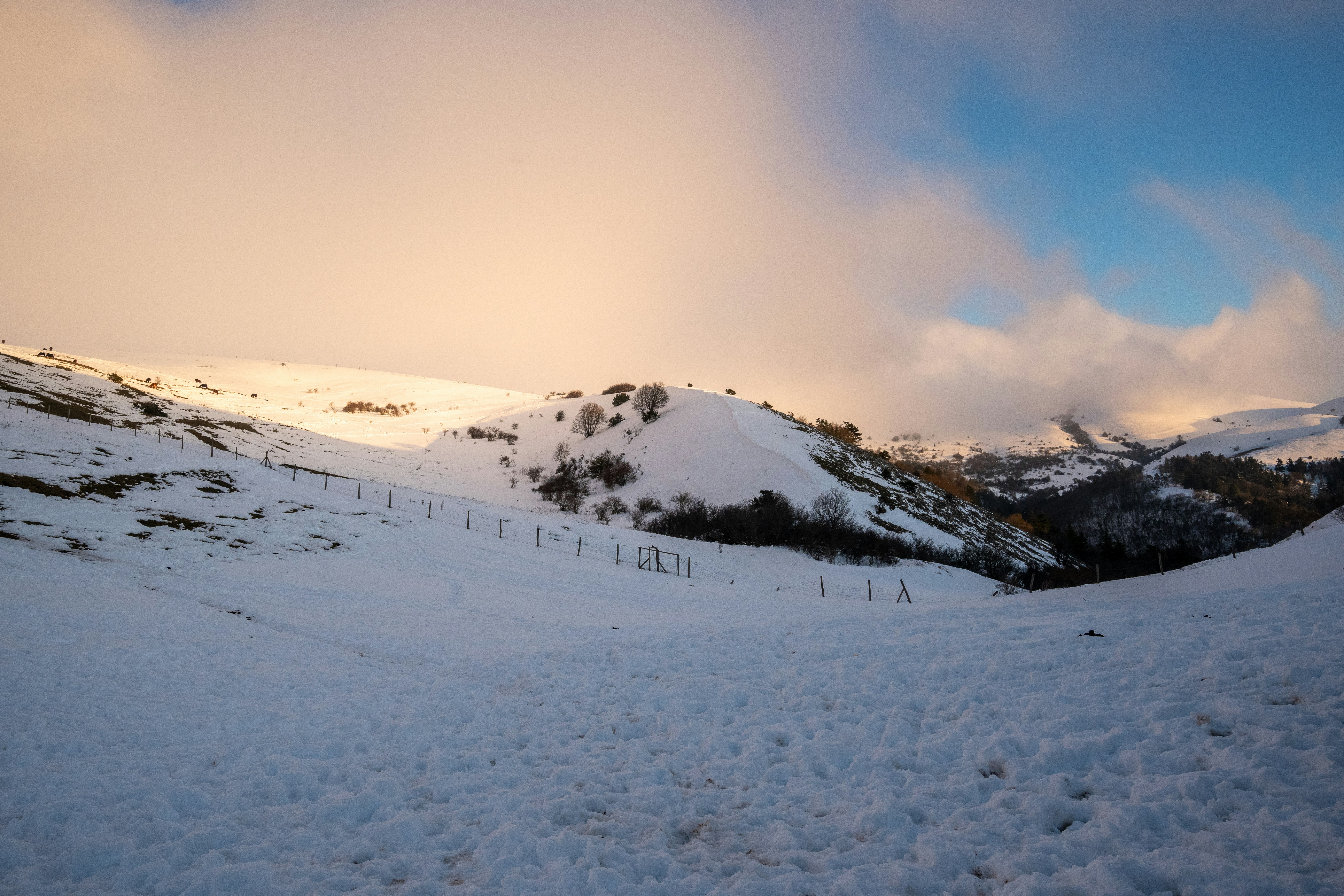 Photo by 3starsgraphics