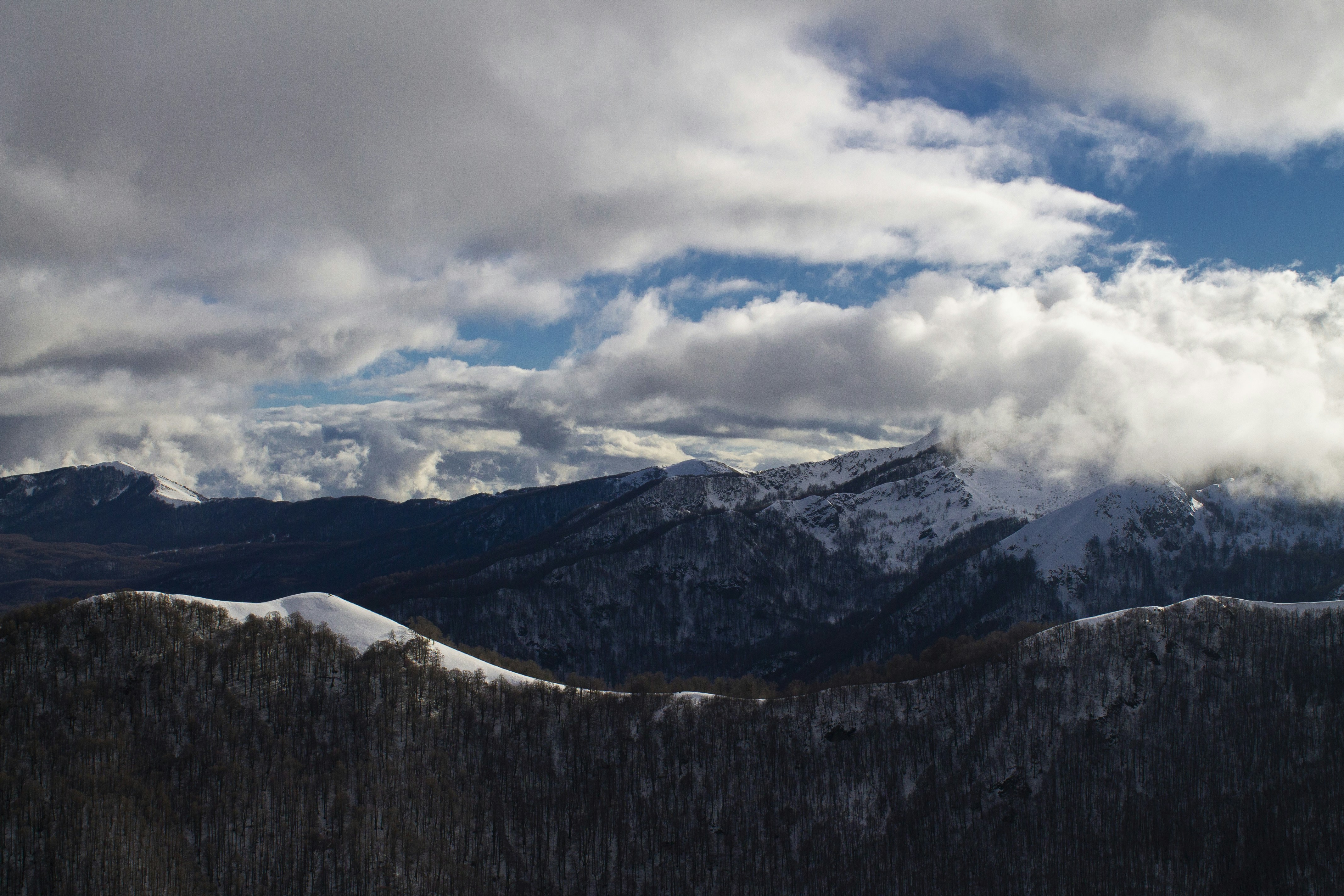 Photo by 3starsgraphics