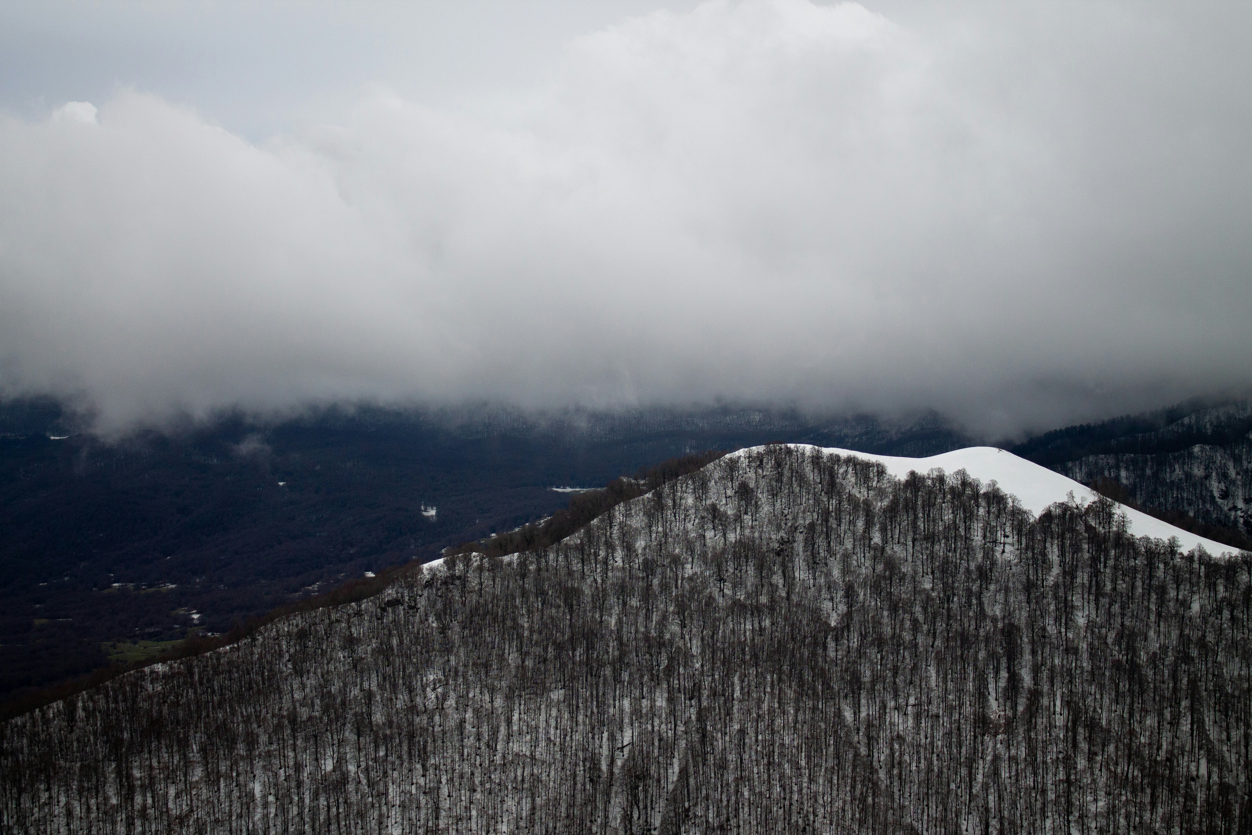 Photo by 3starsgraphics