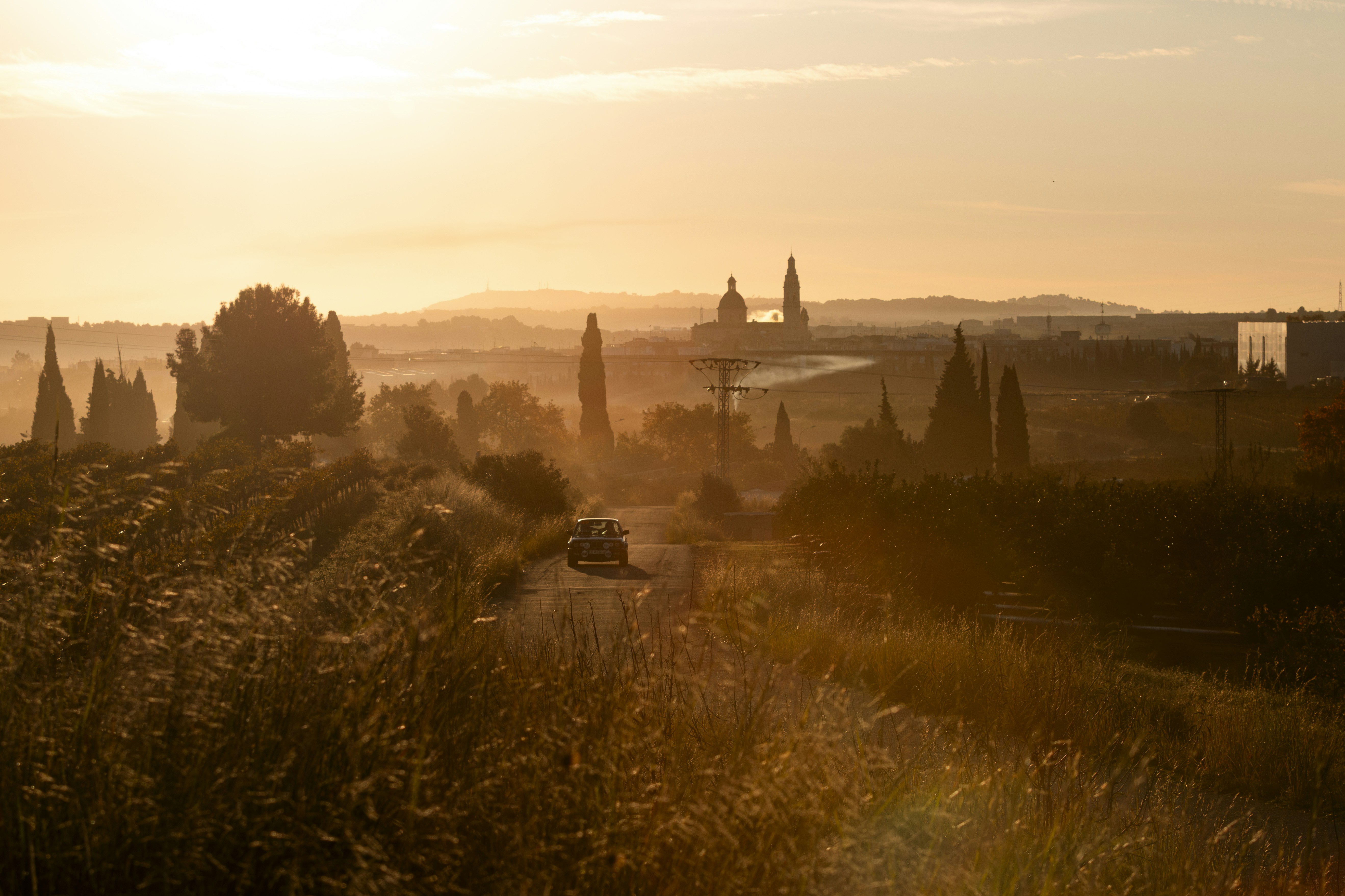 Paisaje toscano dorado al amanecer con cipreses