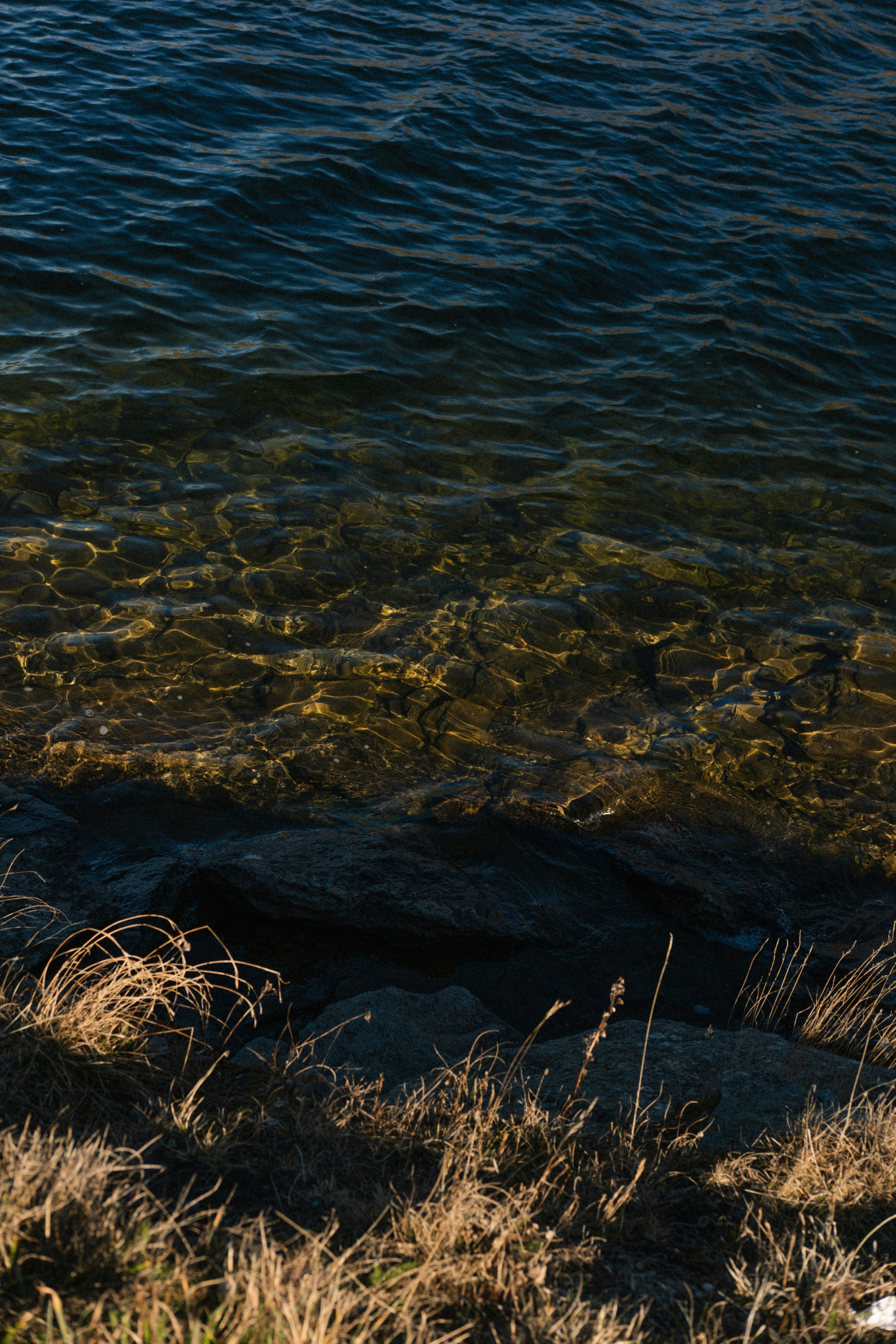 Photo by lauratommphoto