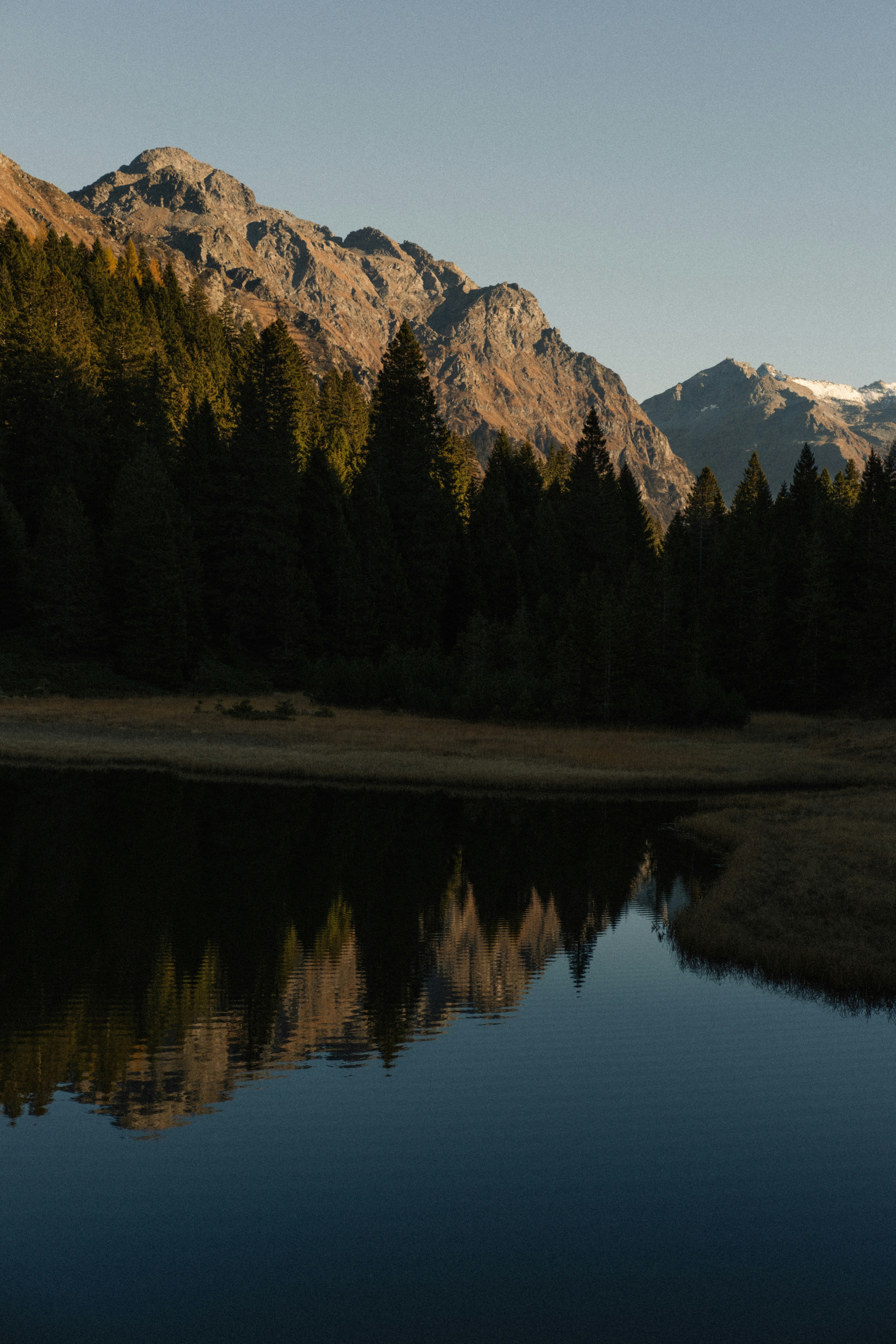 Photo by lauratommphoto