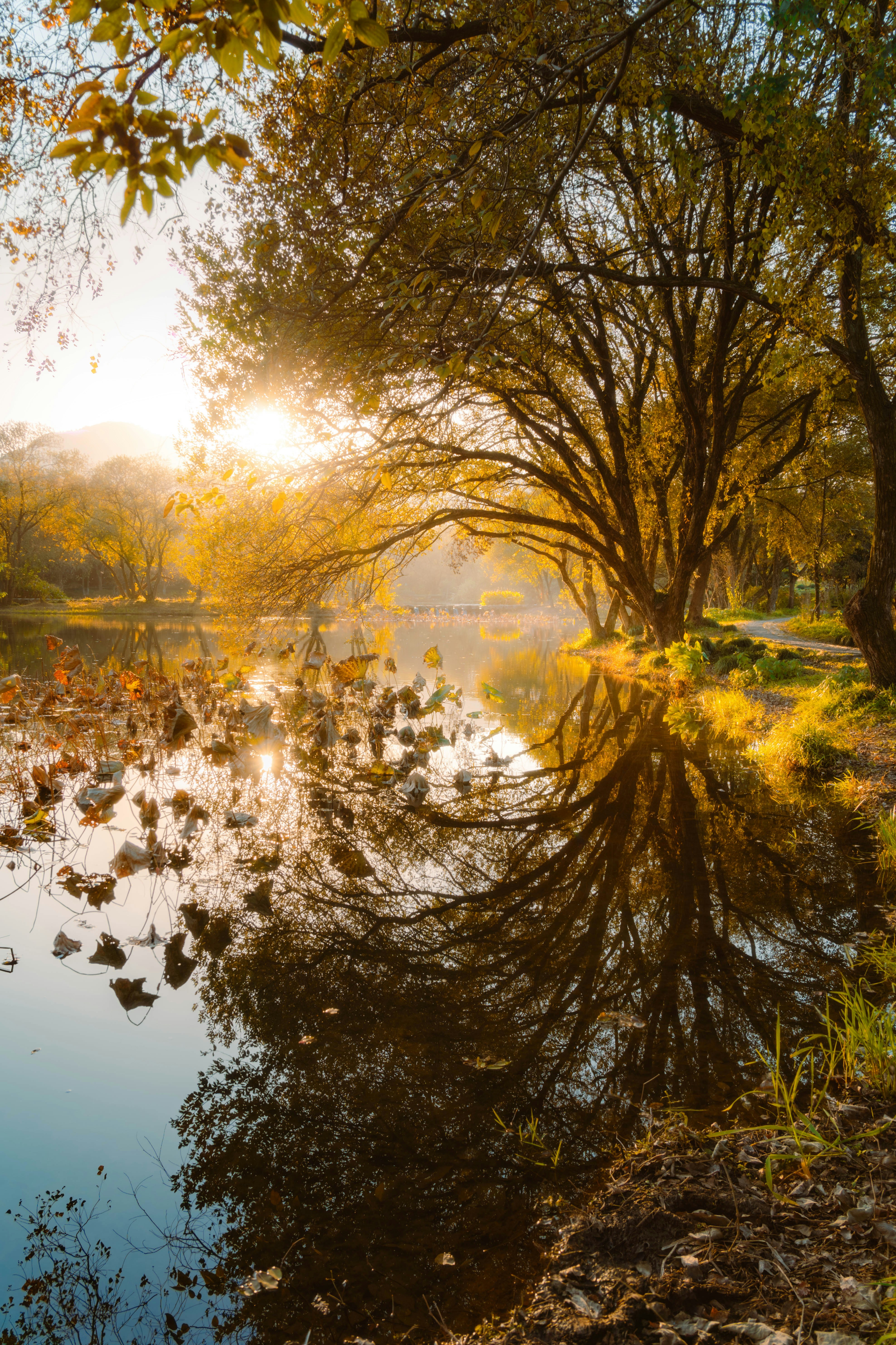 Photo by golden_orange