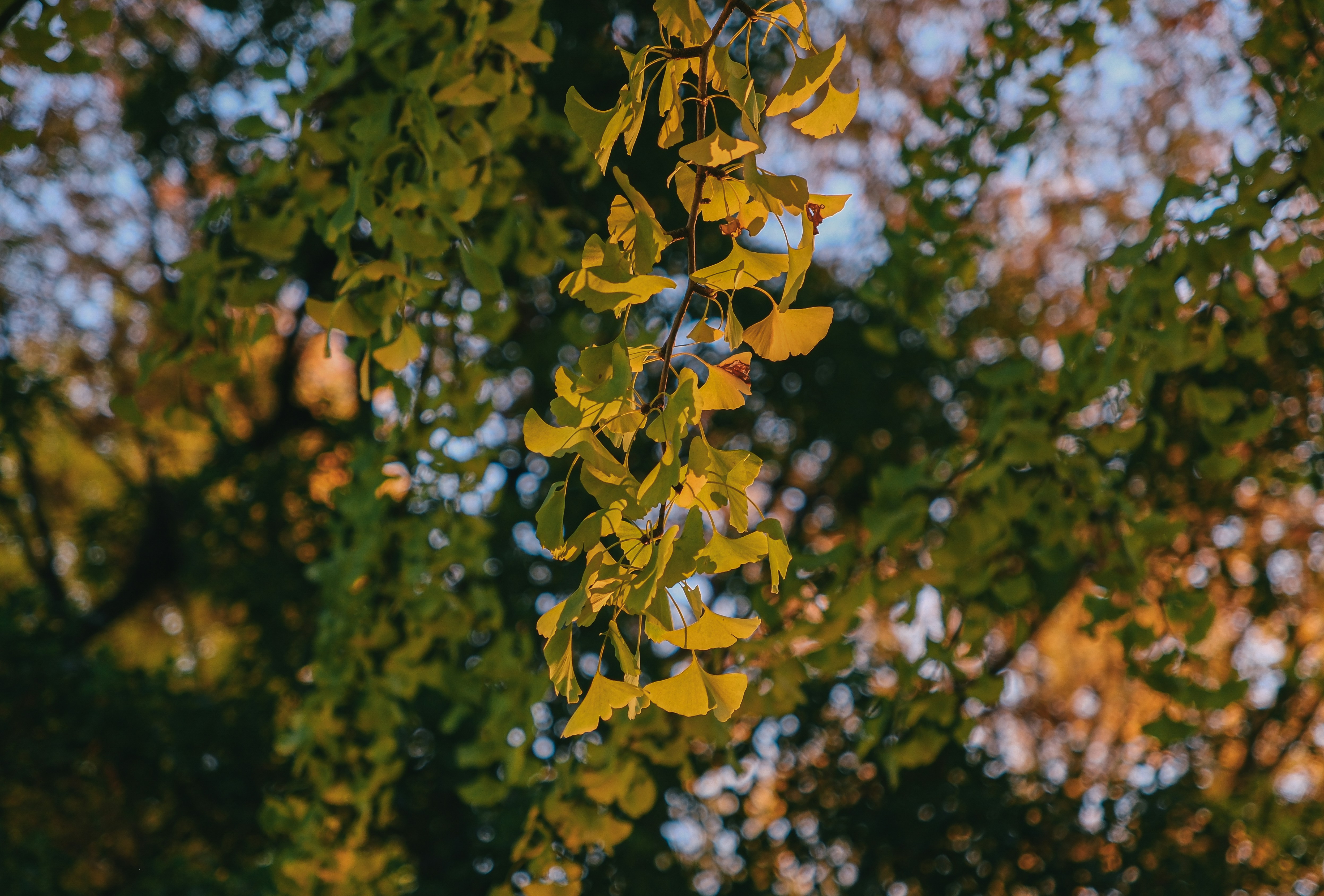 Photo by huyphan2602