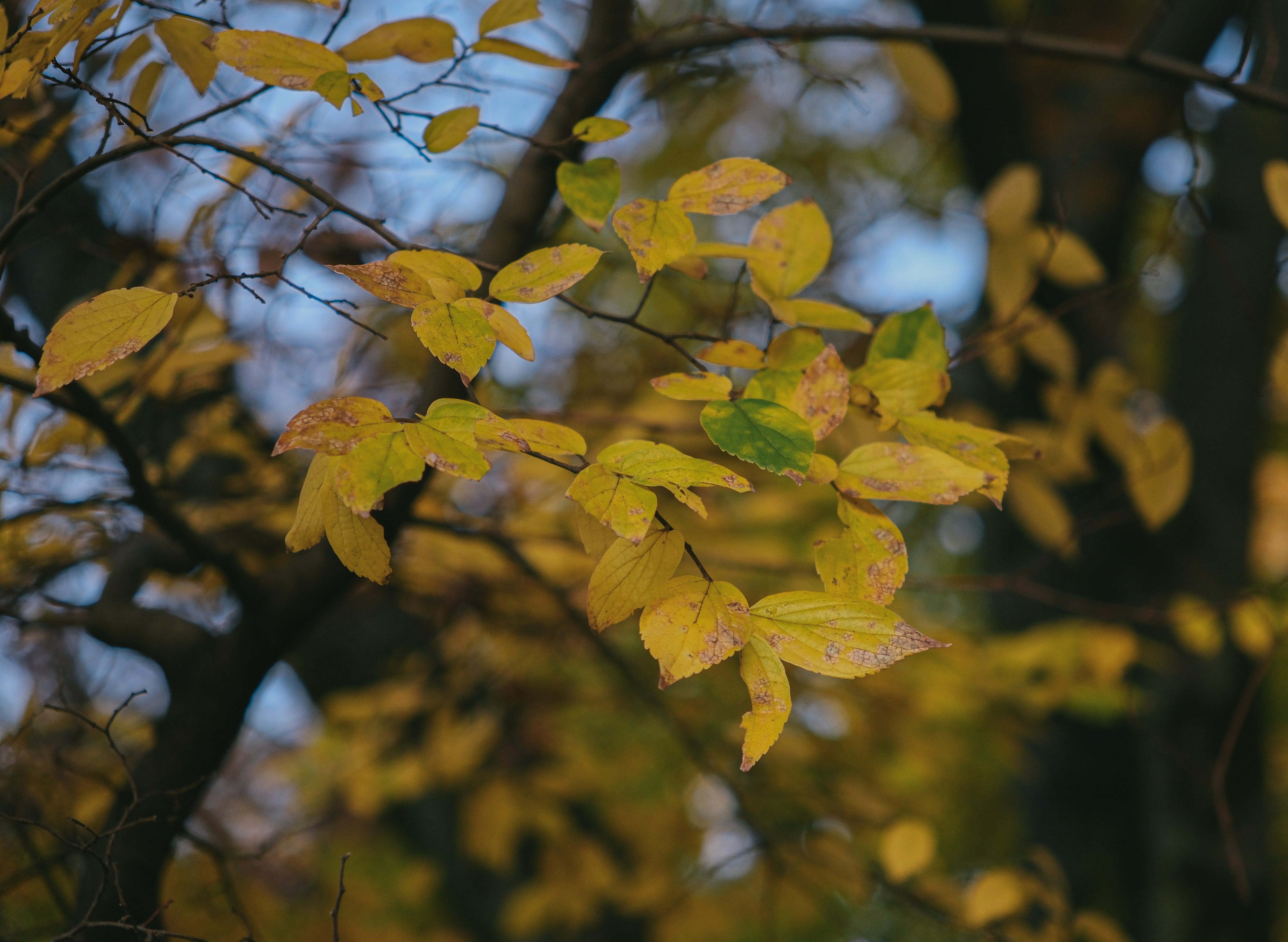 Photo by huyphan2602