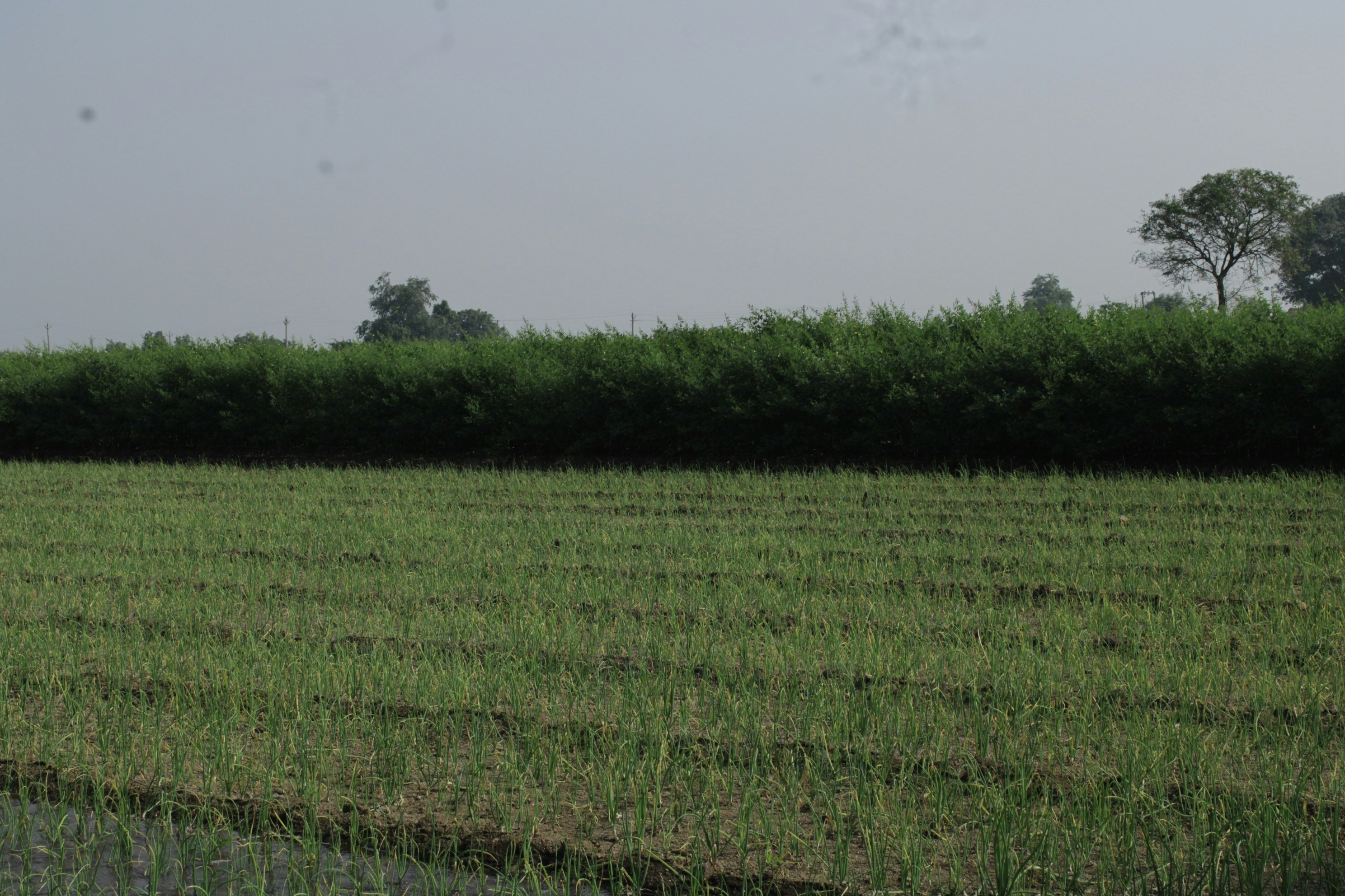 Photo by dgcreativecorner