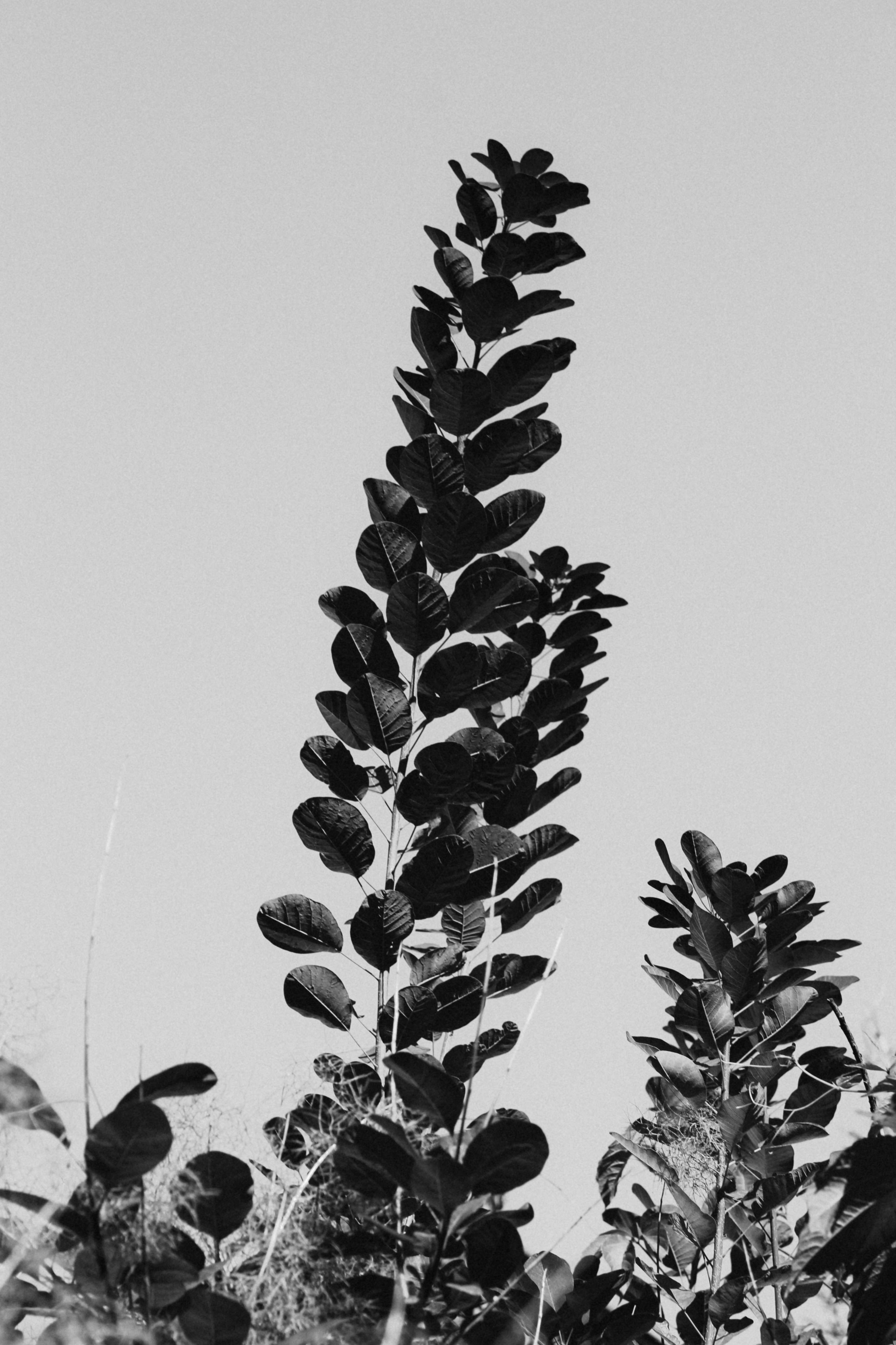 Photo by annagelibterman