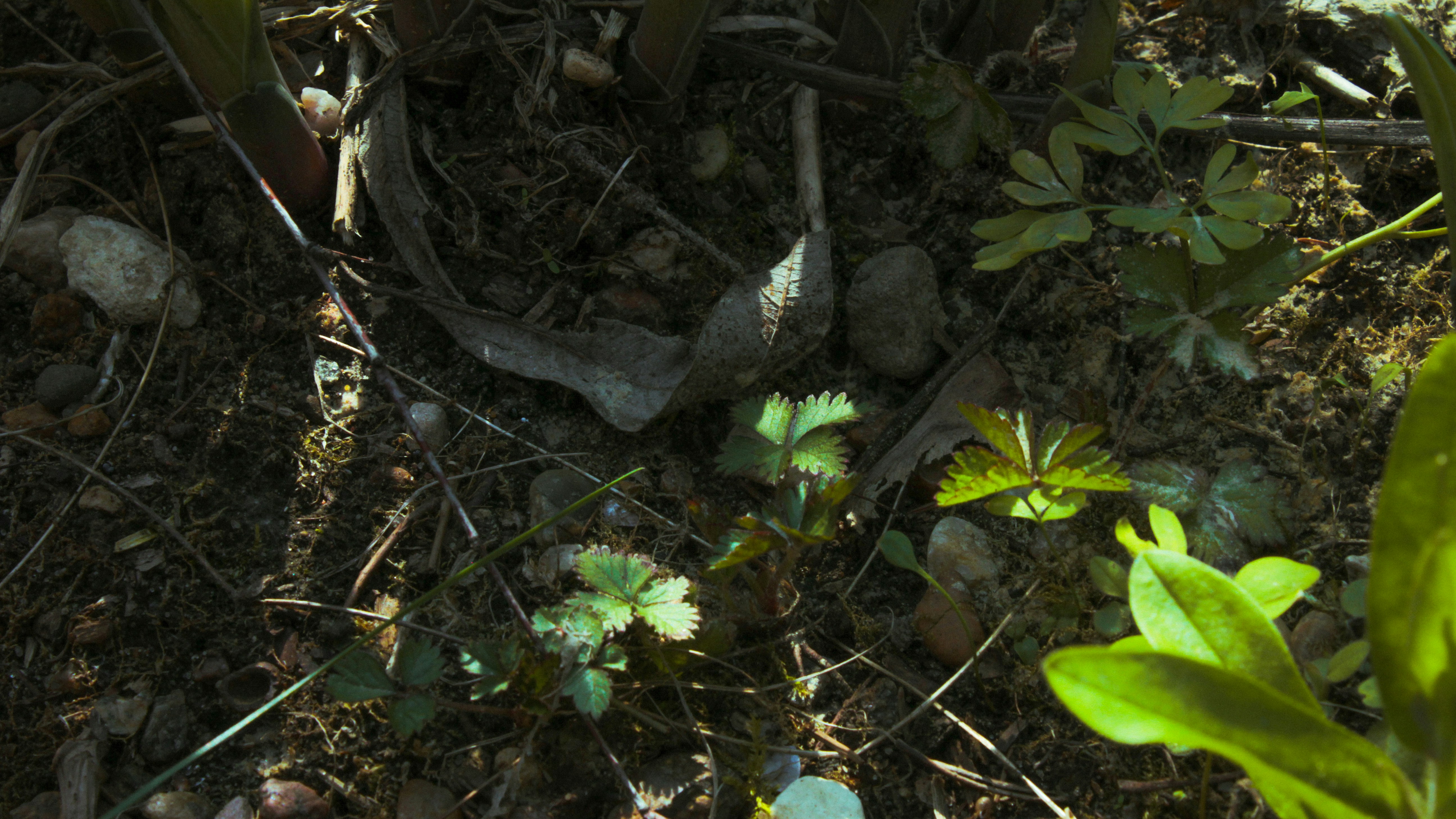 Photo by annagelibterman