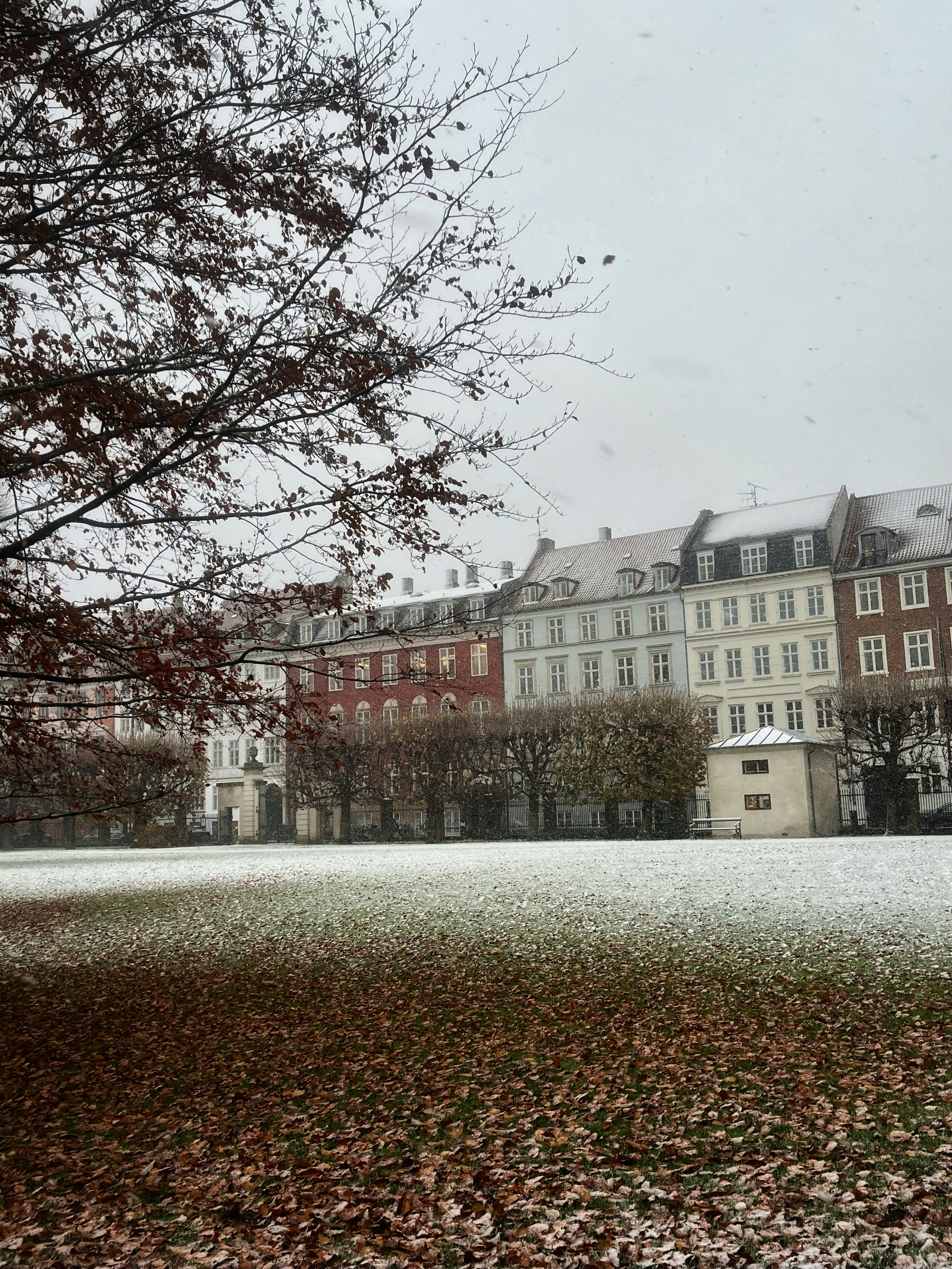 Photo by ezgideliklitas