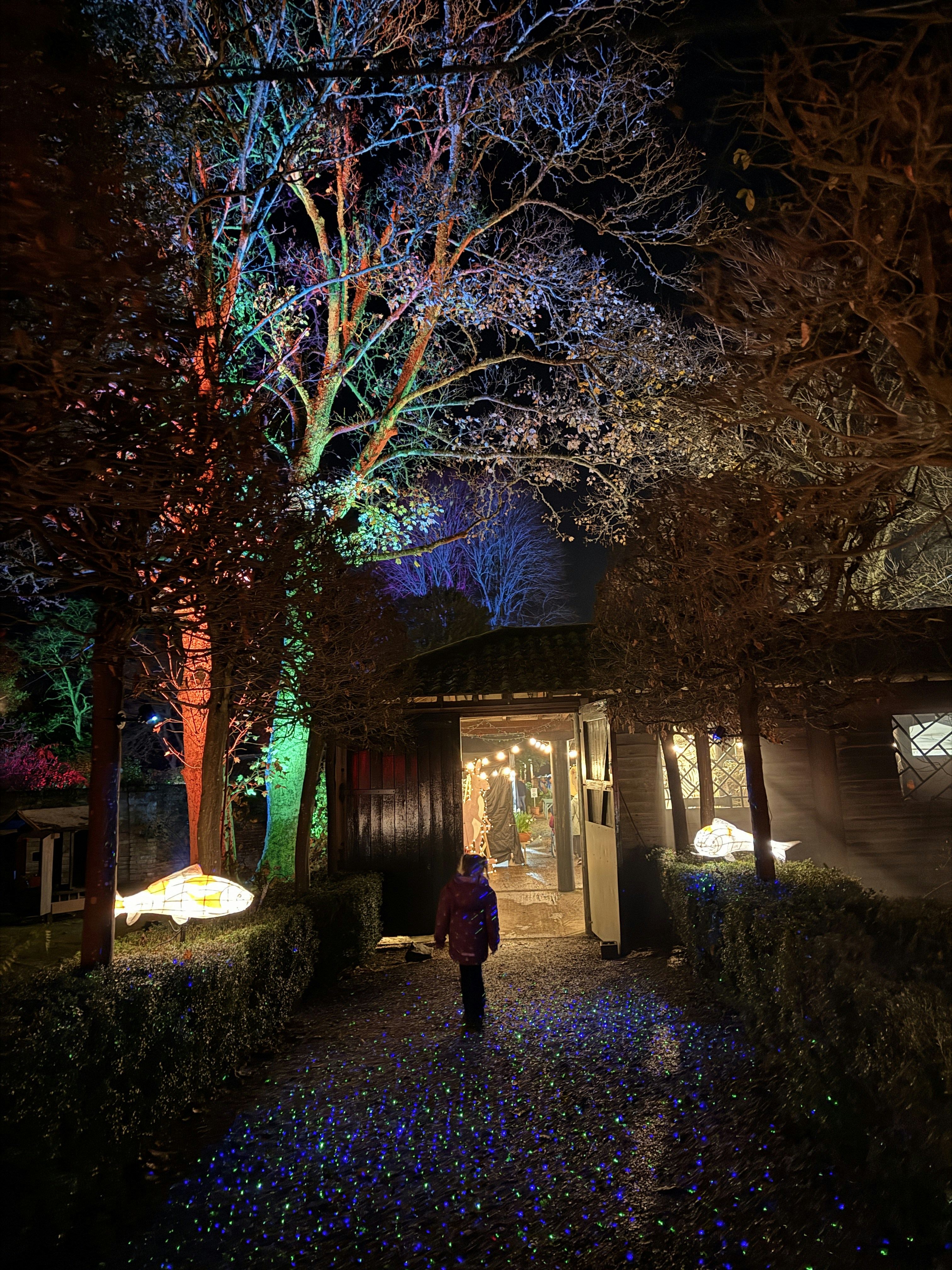 Person walks down a path lit by colorful lights.