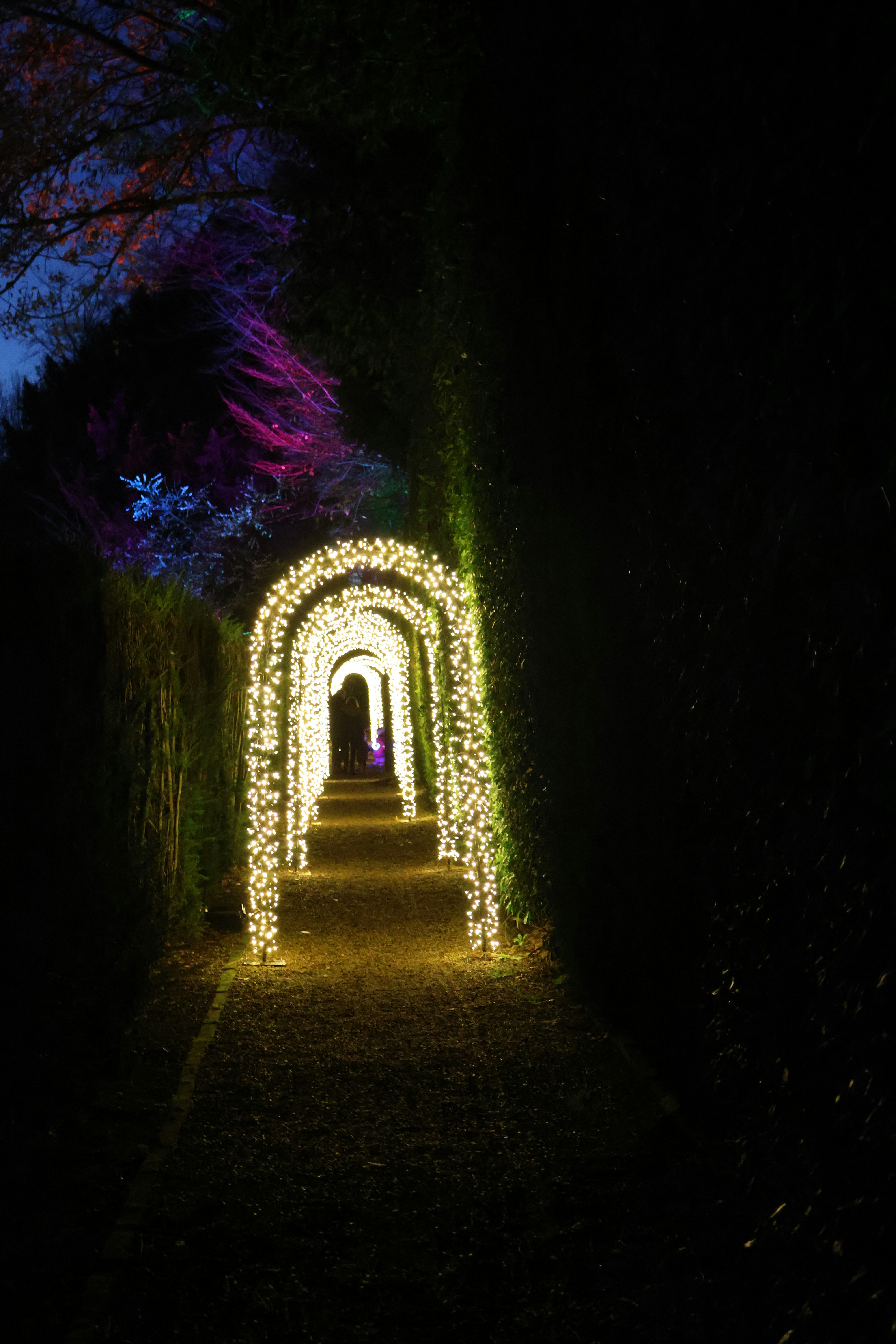 Illuminated archway path at night with colorful lights