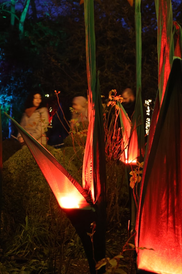 Lanterns glowing in a wooded garden scene