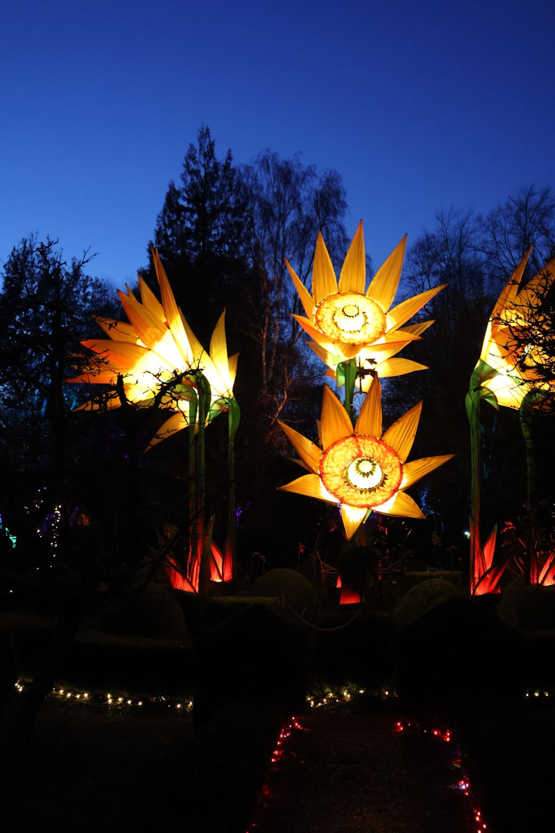 Illuminated garden flowers glowing at night