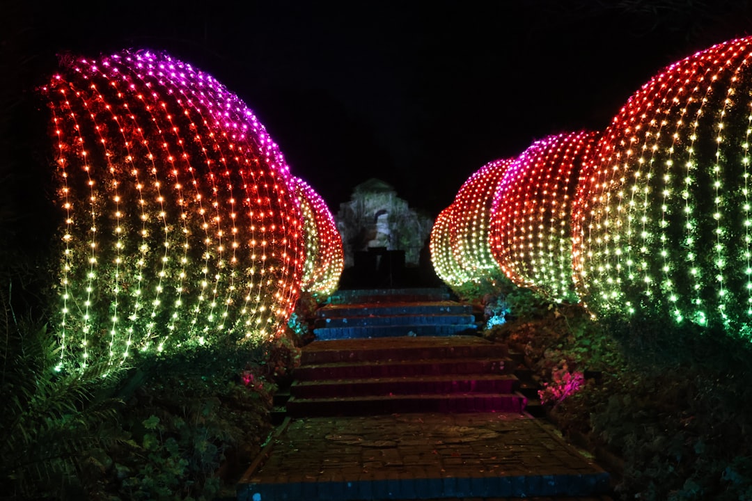 Solar Ground Lights Outdoor