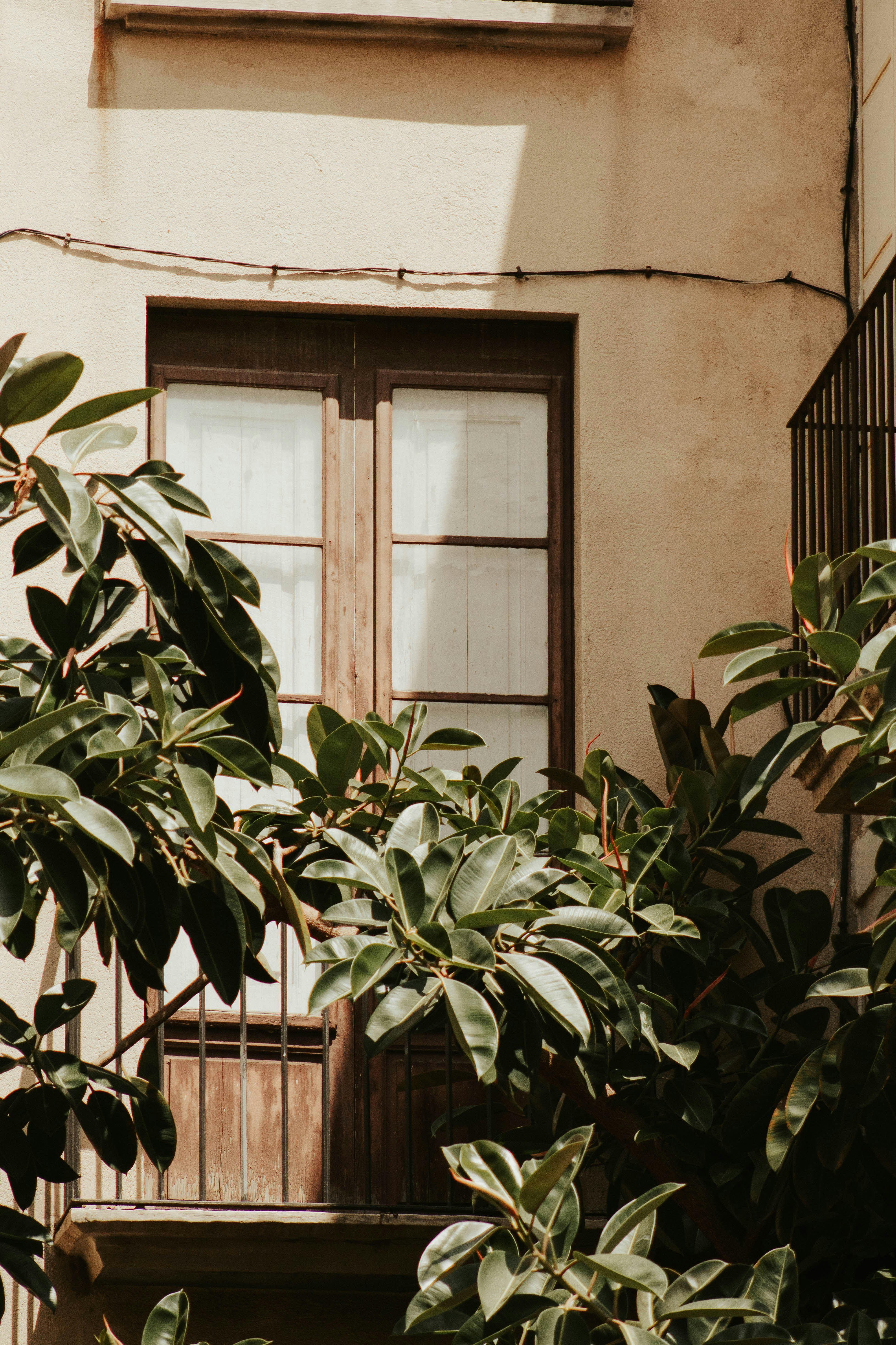 Photo by noavanieperen