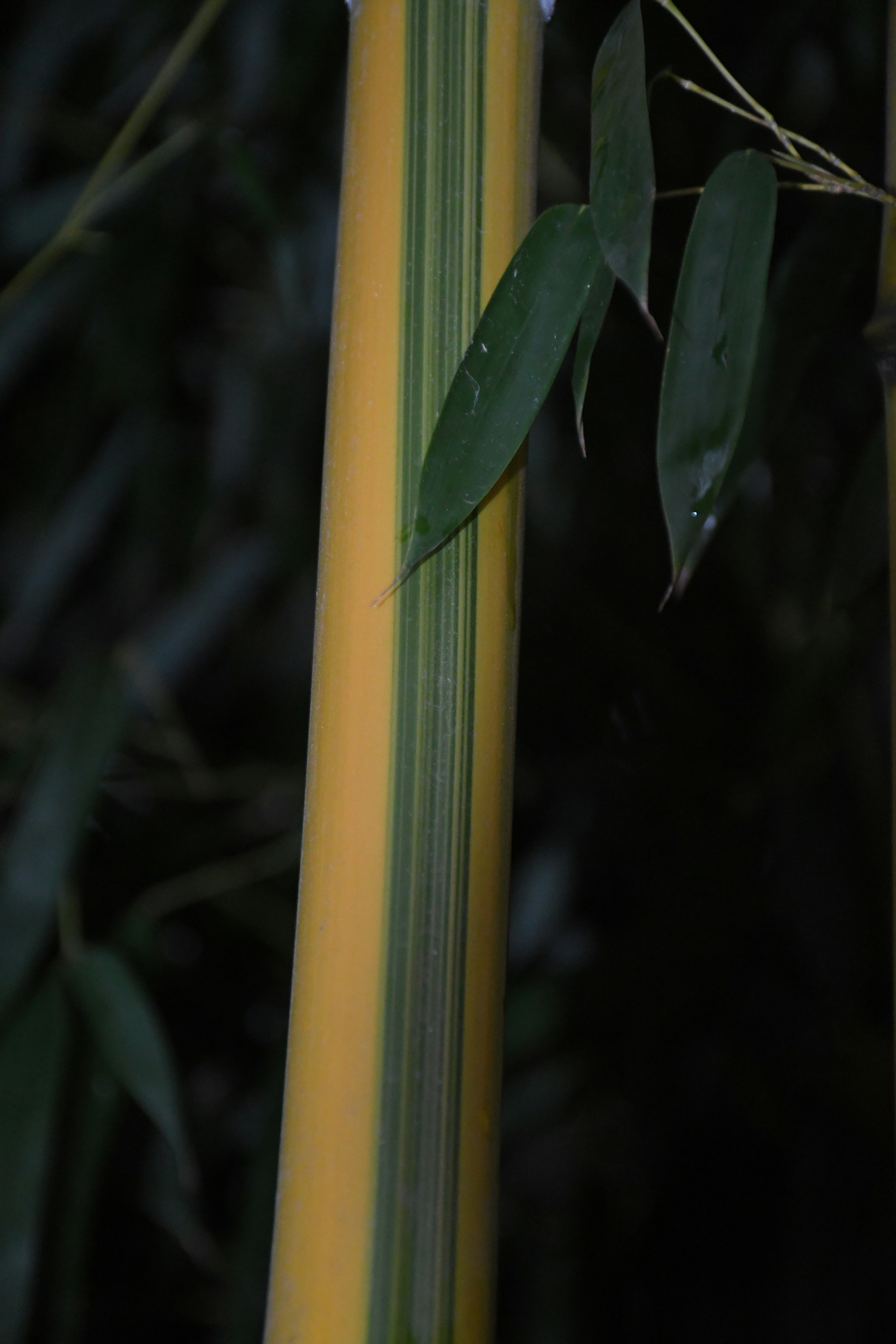 Photo by anna_kharkivska