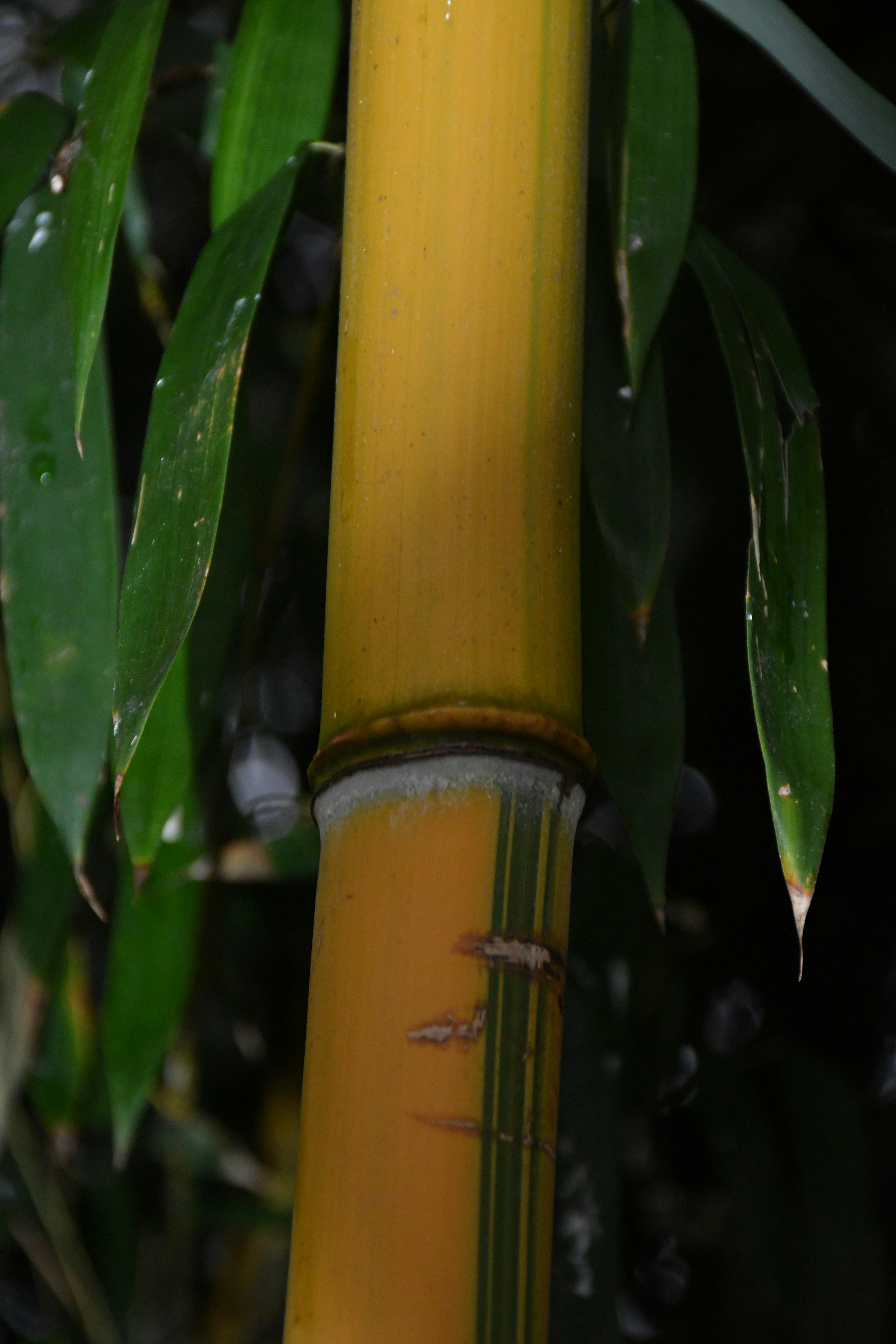 Photo by anna_kharkivska