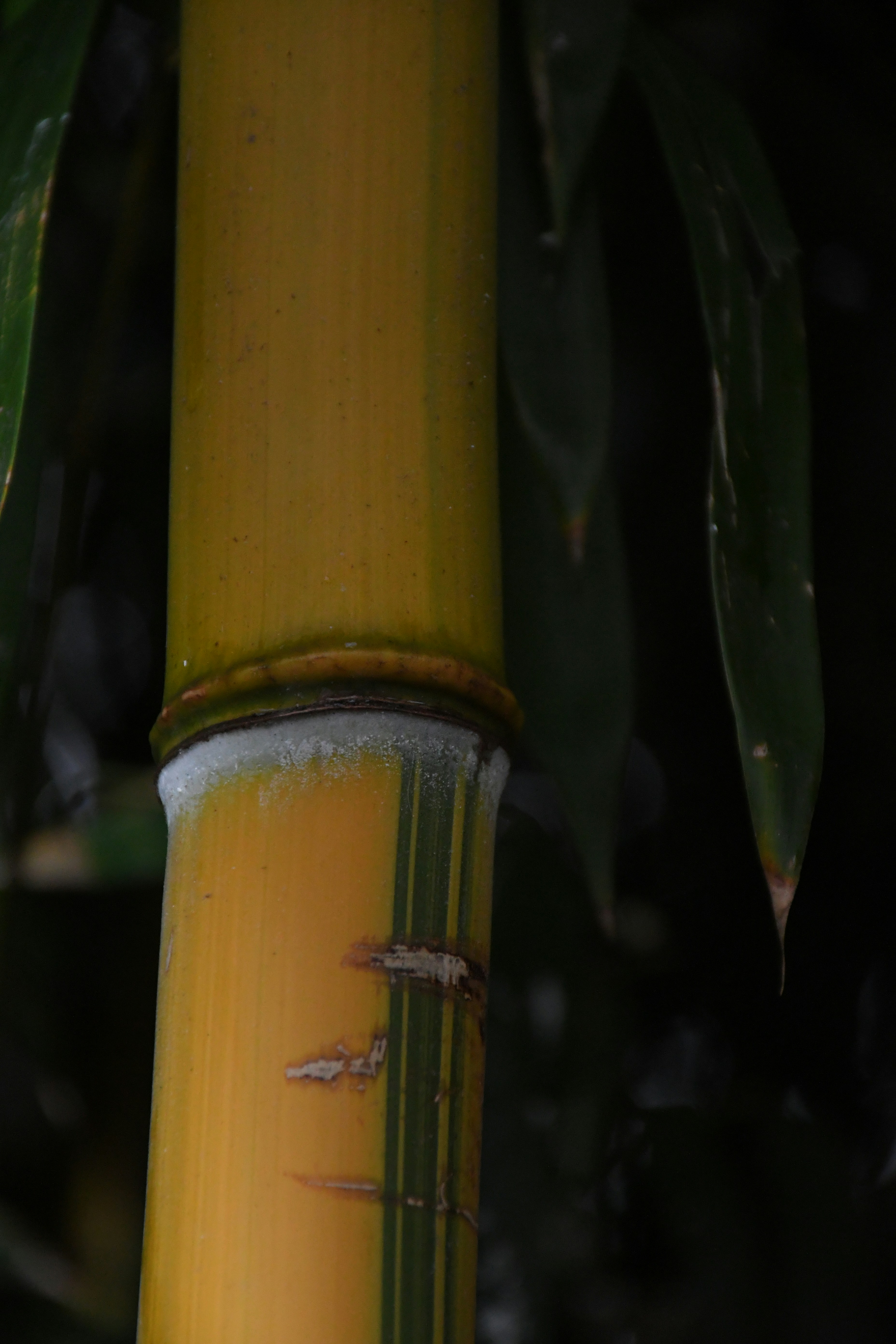 Photo by anna_kharkivska