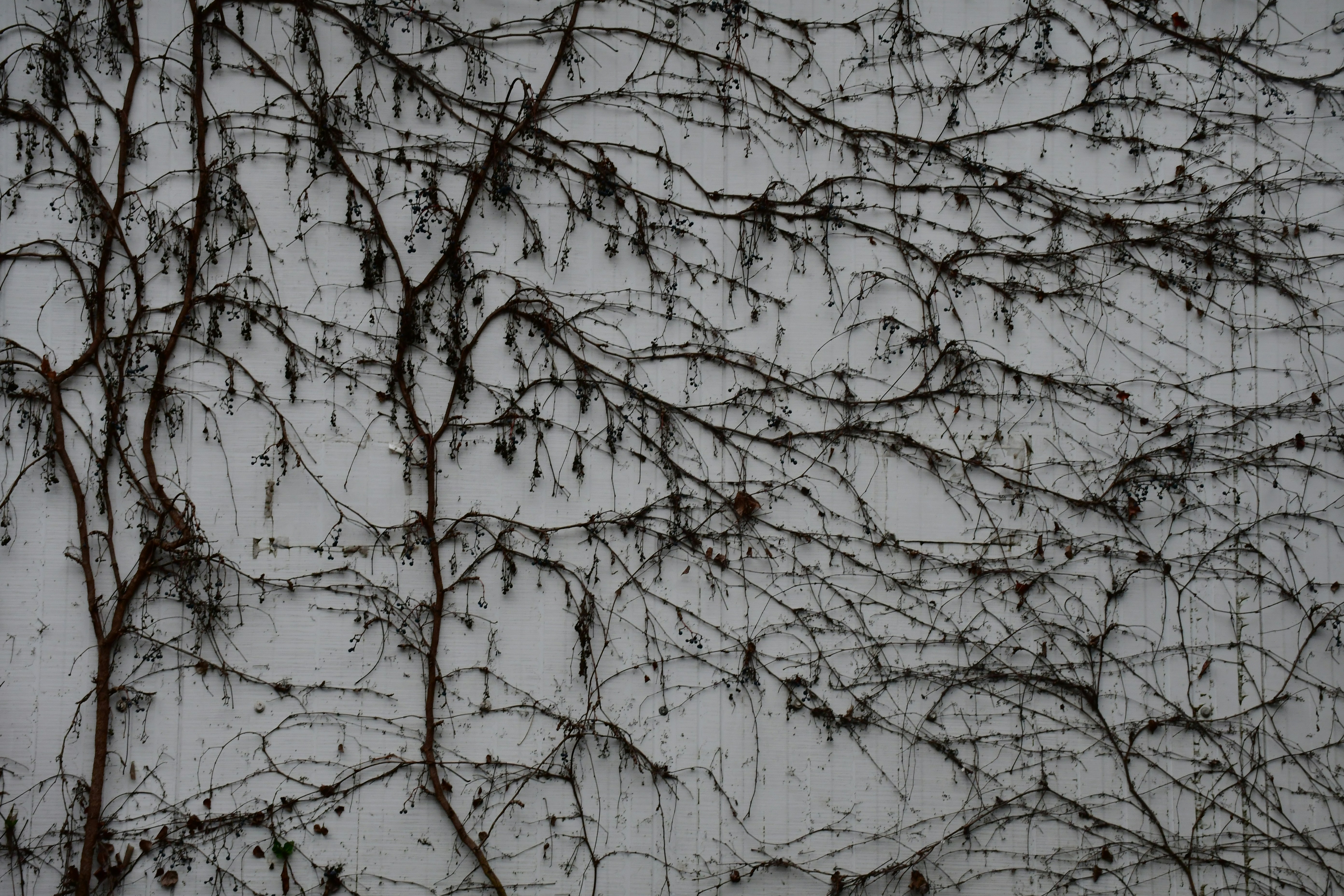 Photo by anna_kharkivska