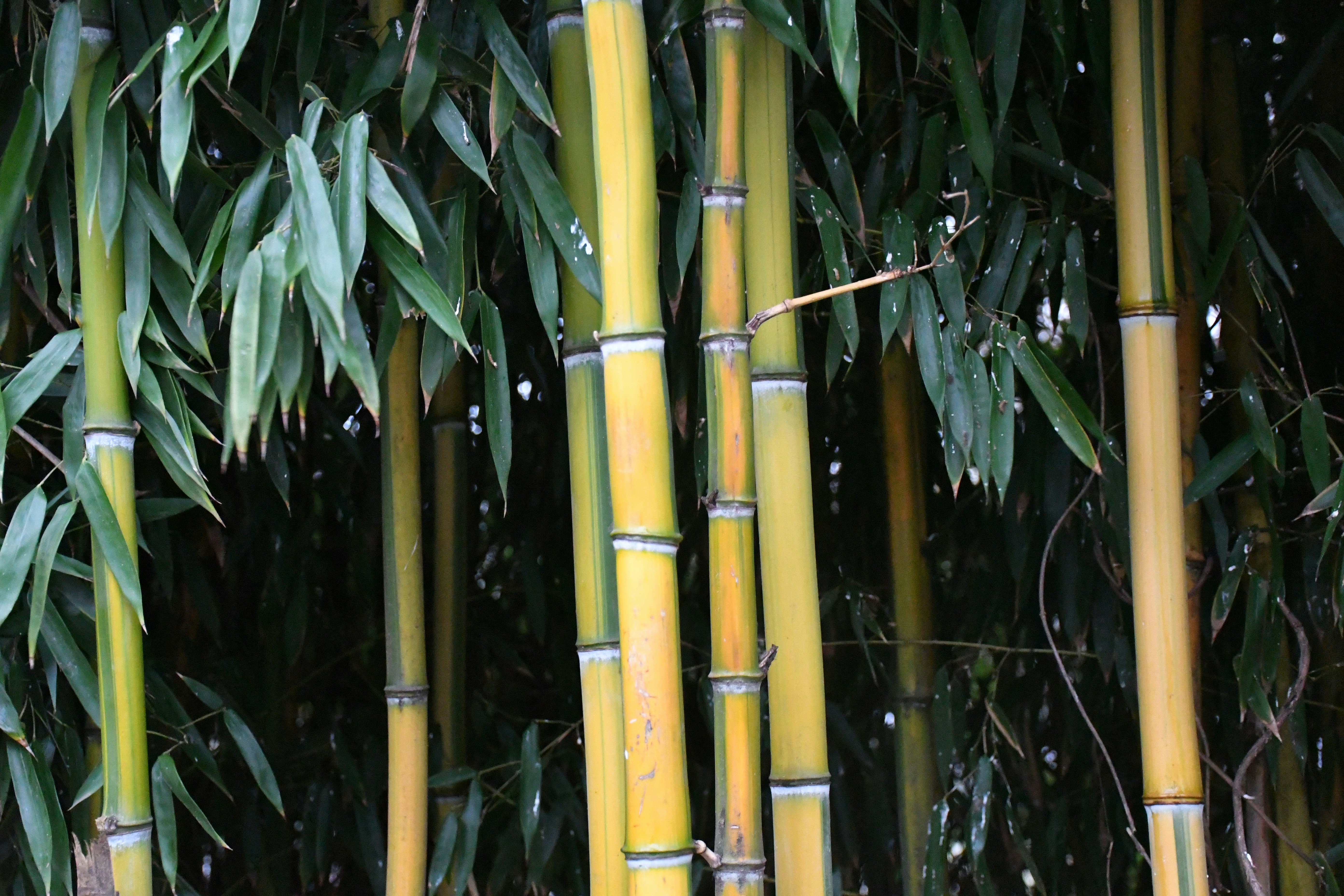 Photo by anna_kharkivska