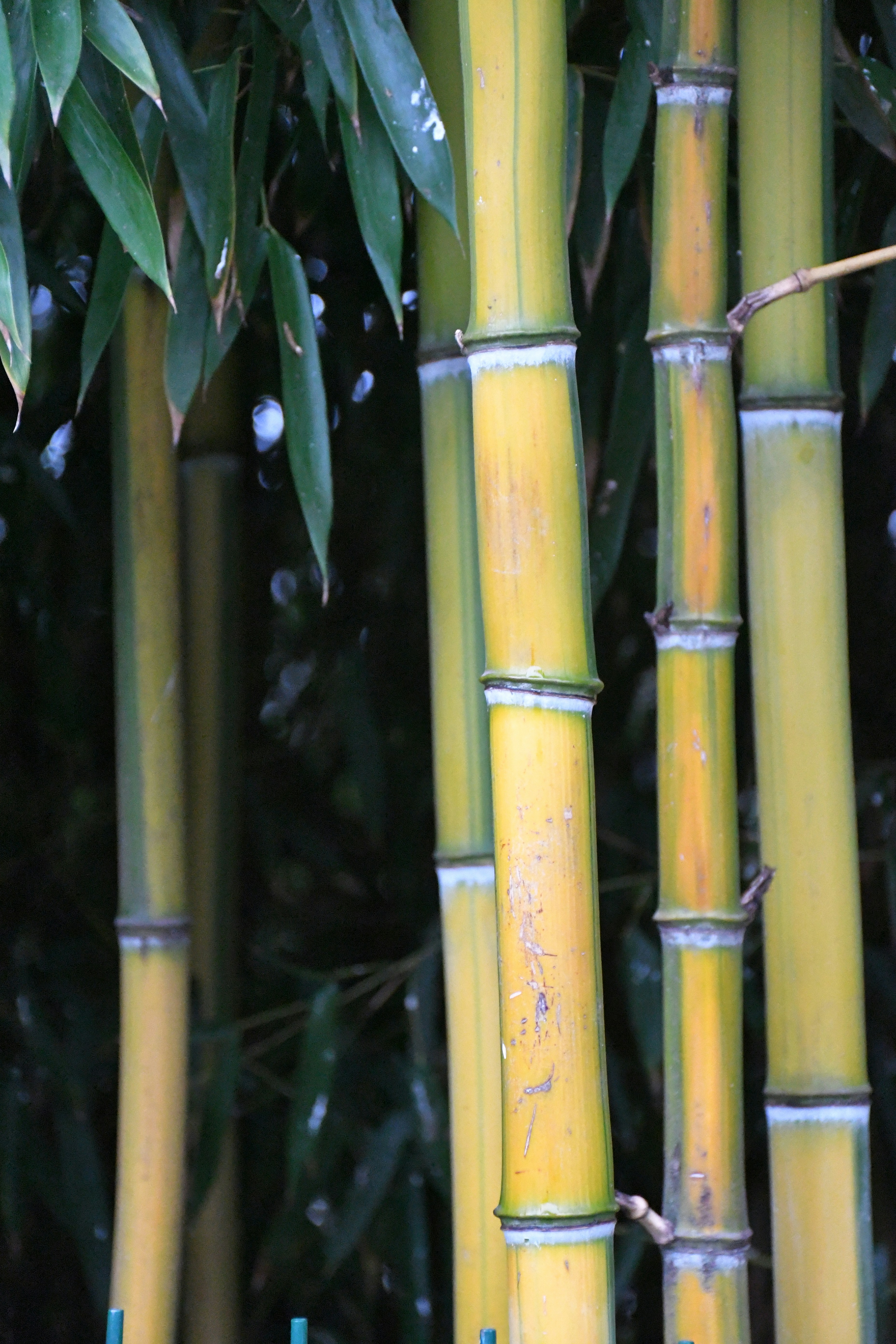 Photo by anna_kharkivska