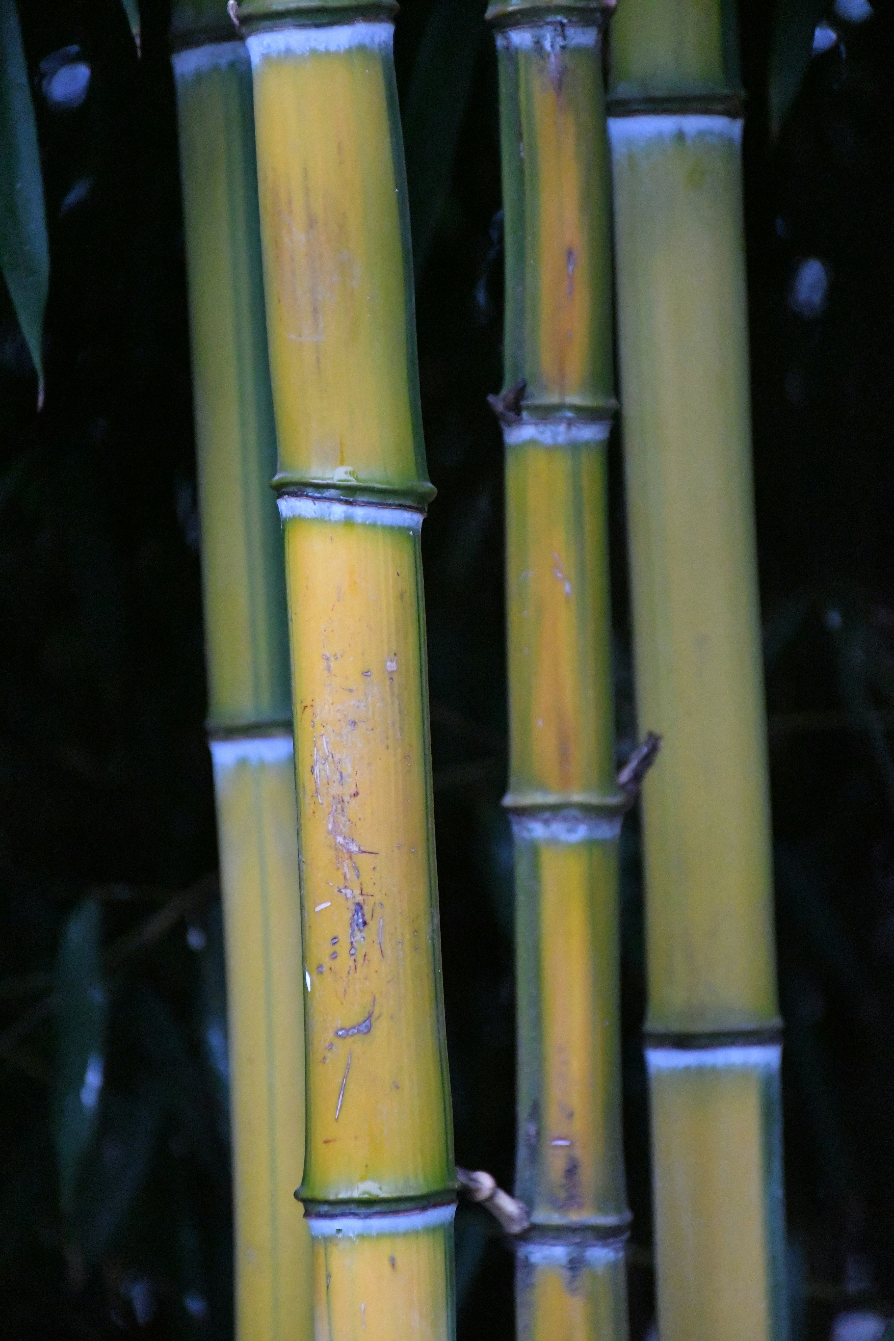 Photo by anna_kharkivska