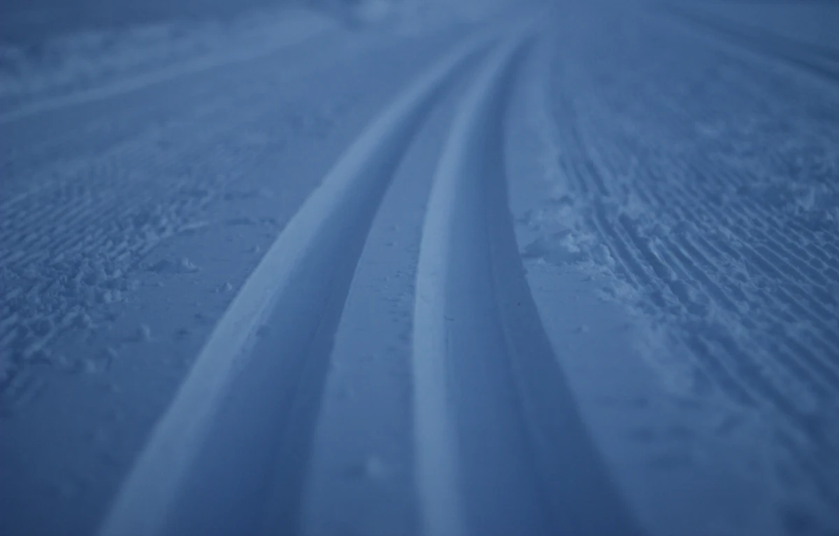 Ski tracks in the snow on a cold day
