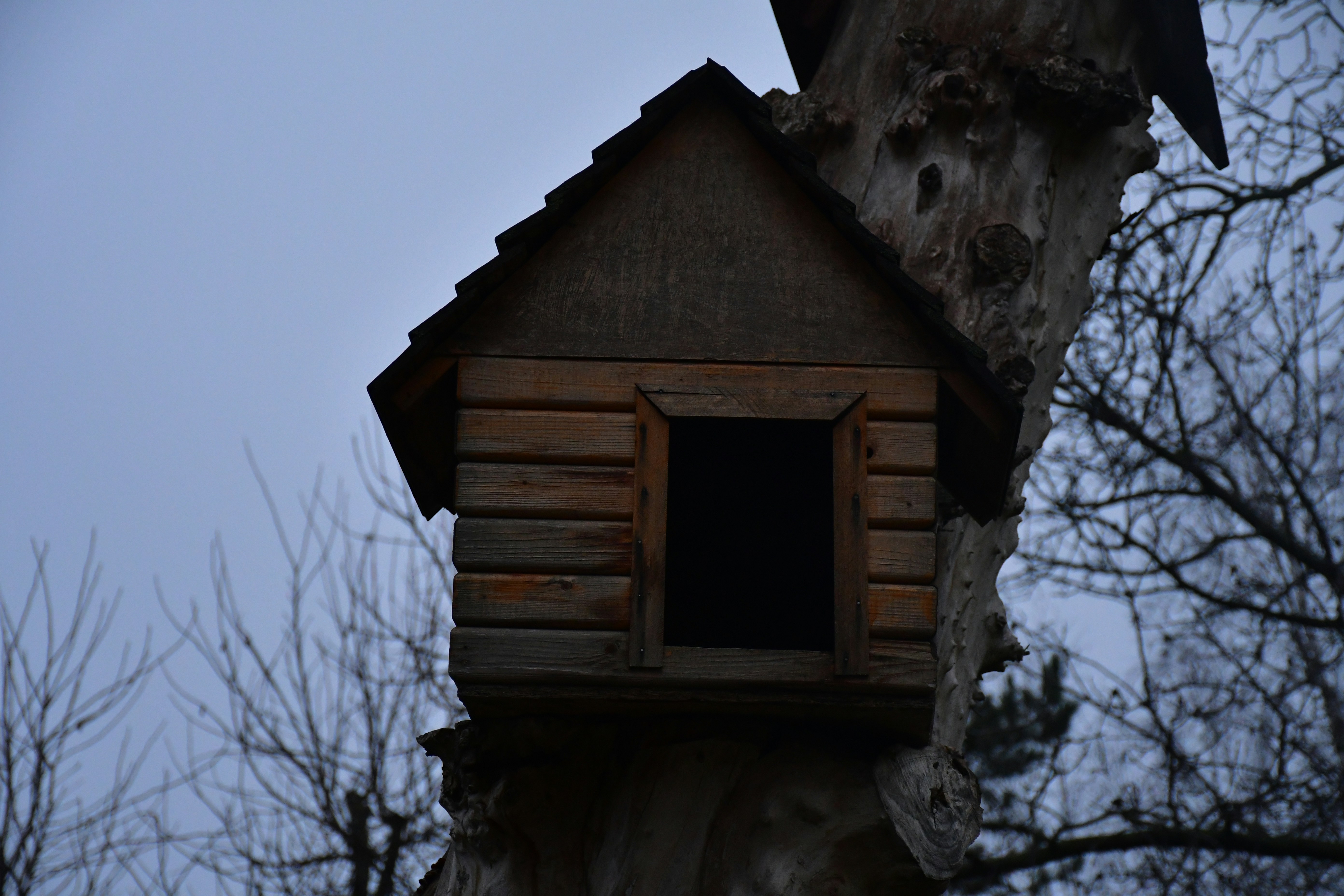 Wooden birdhouse attached to a tree trunk