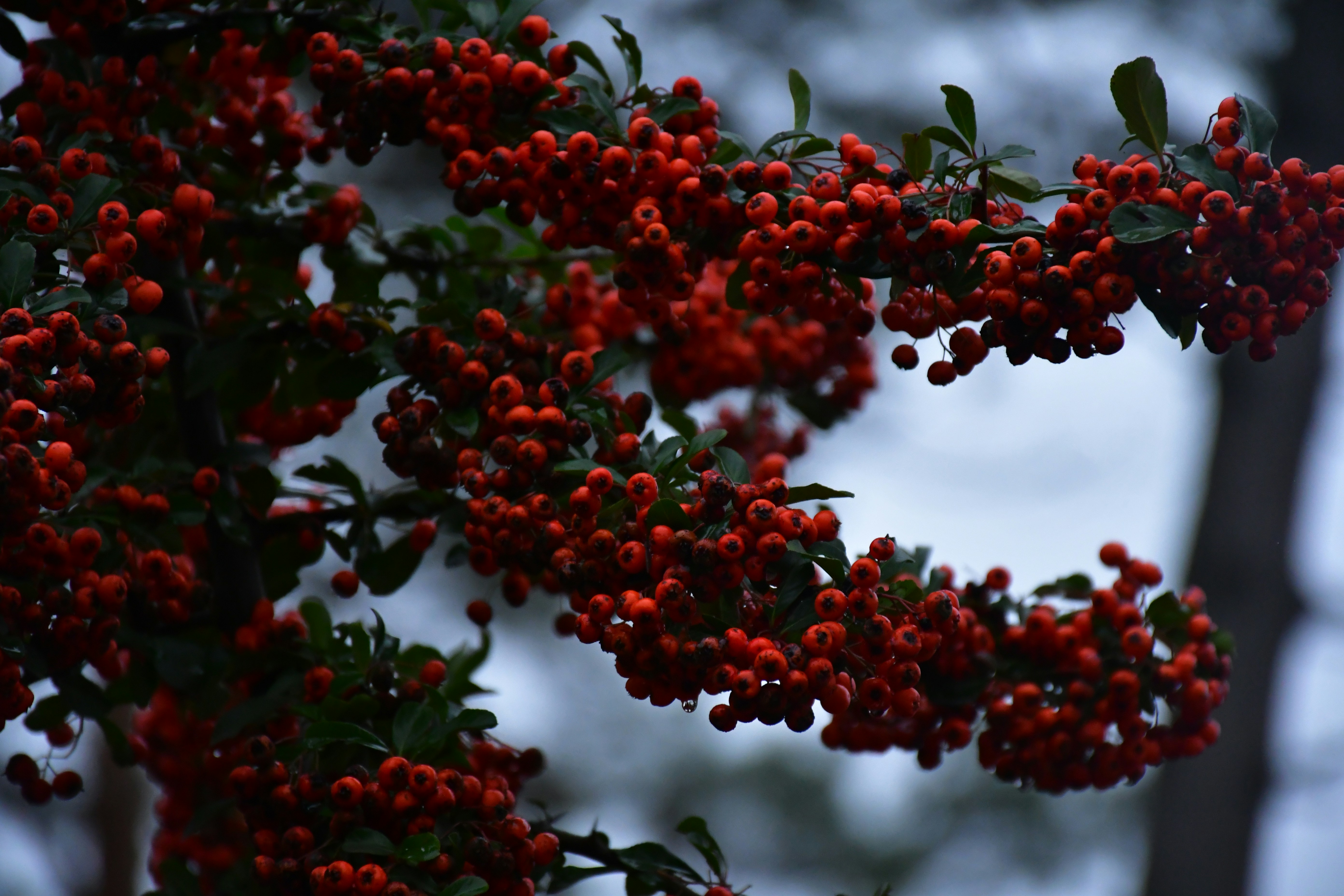 Photo by anna_kharkivska