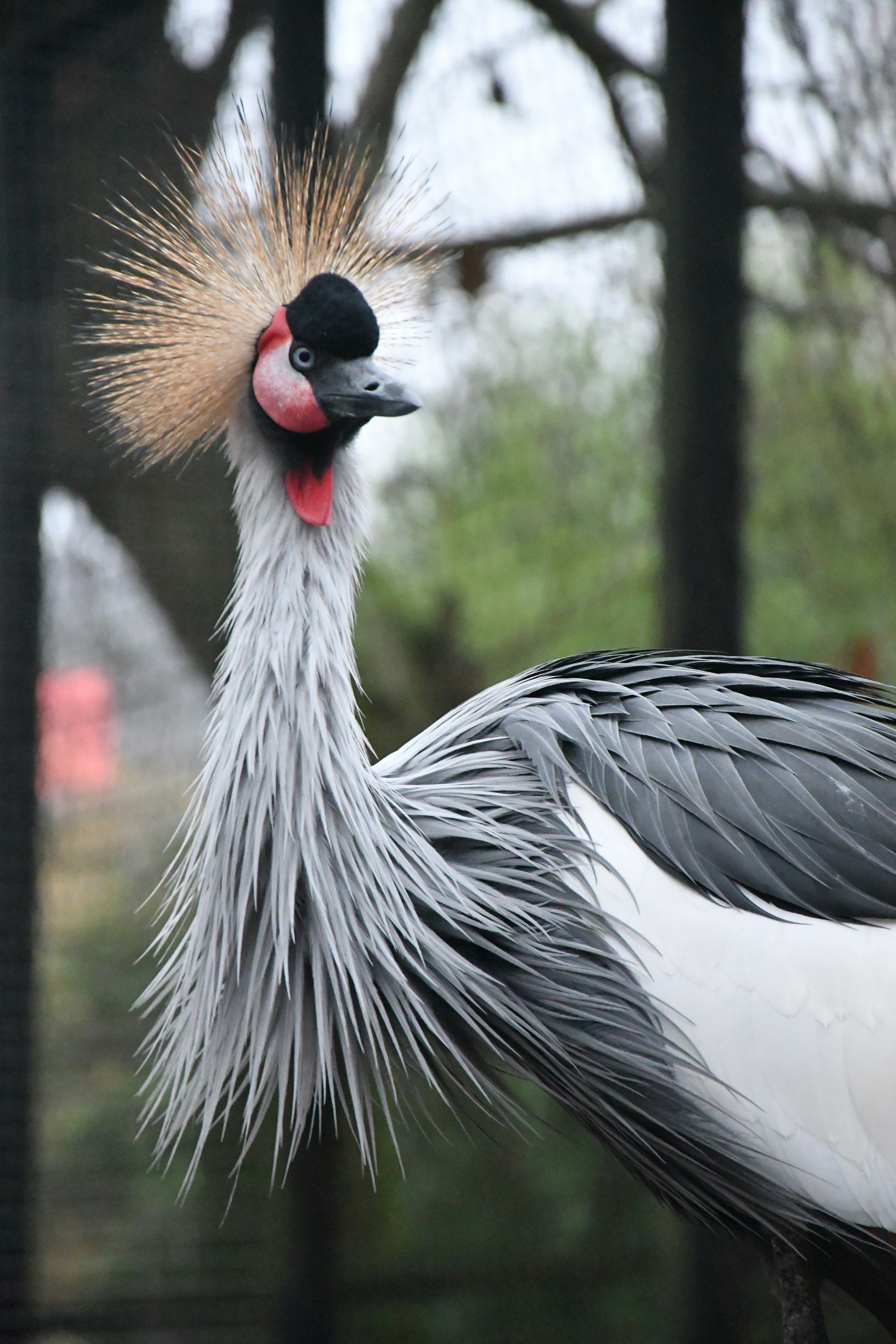 Photo by anna_kharkivska