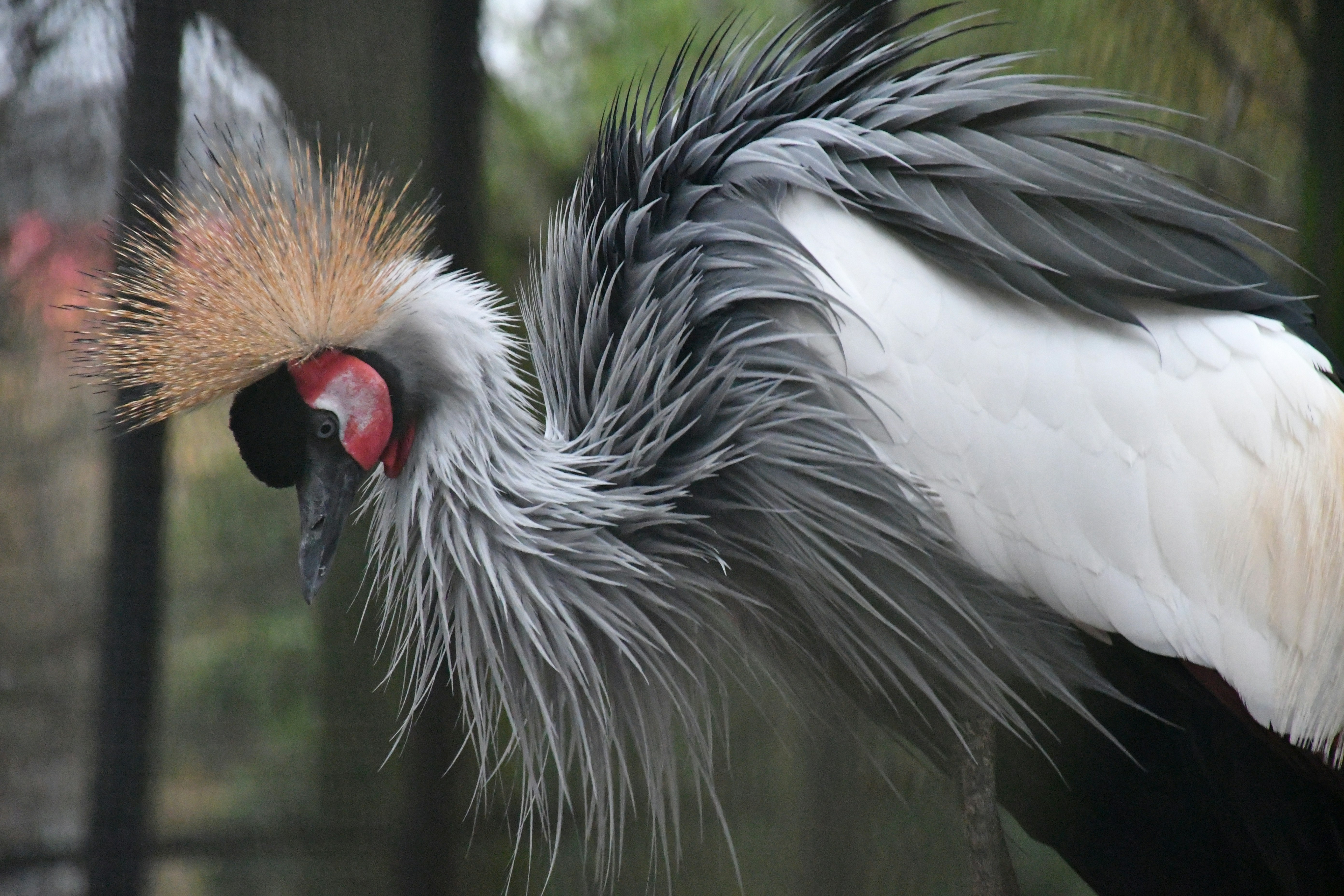 Photo by anna_kharkivska