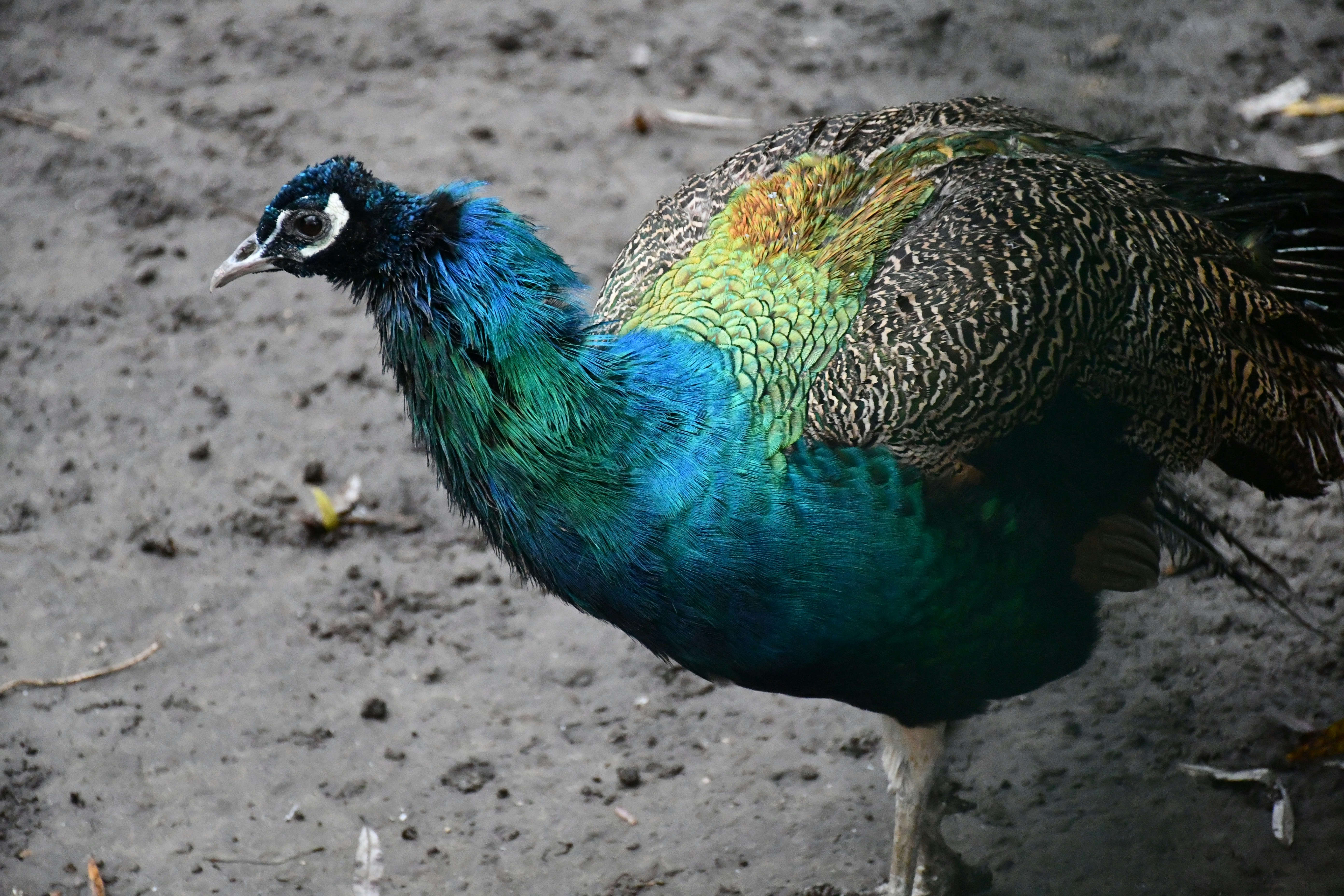 Photo by anna_kharkivska