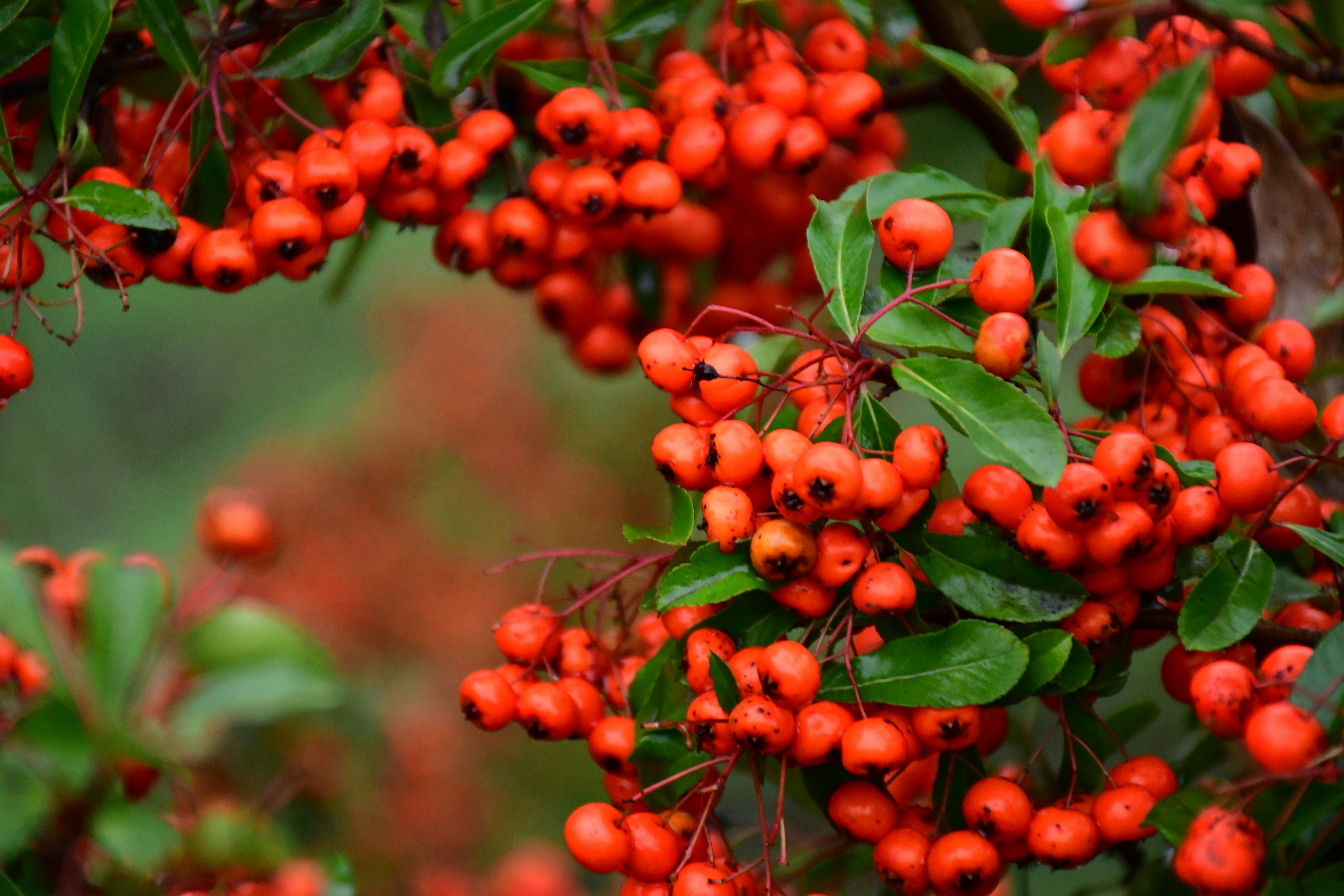 Photo by anna_kharkivska