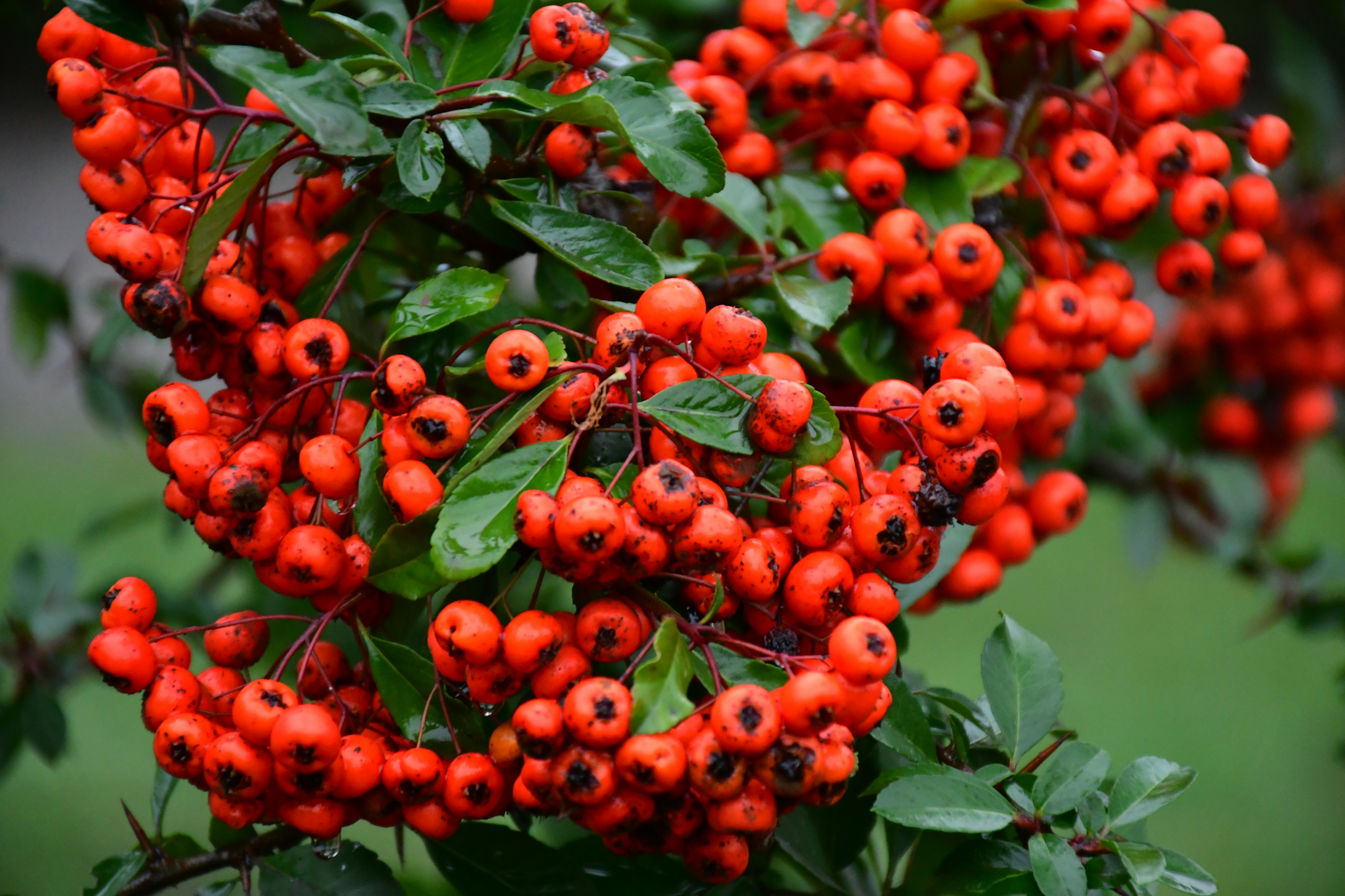 Photo by anna_kharkivska