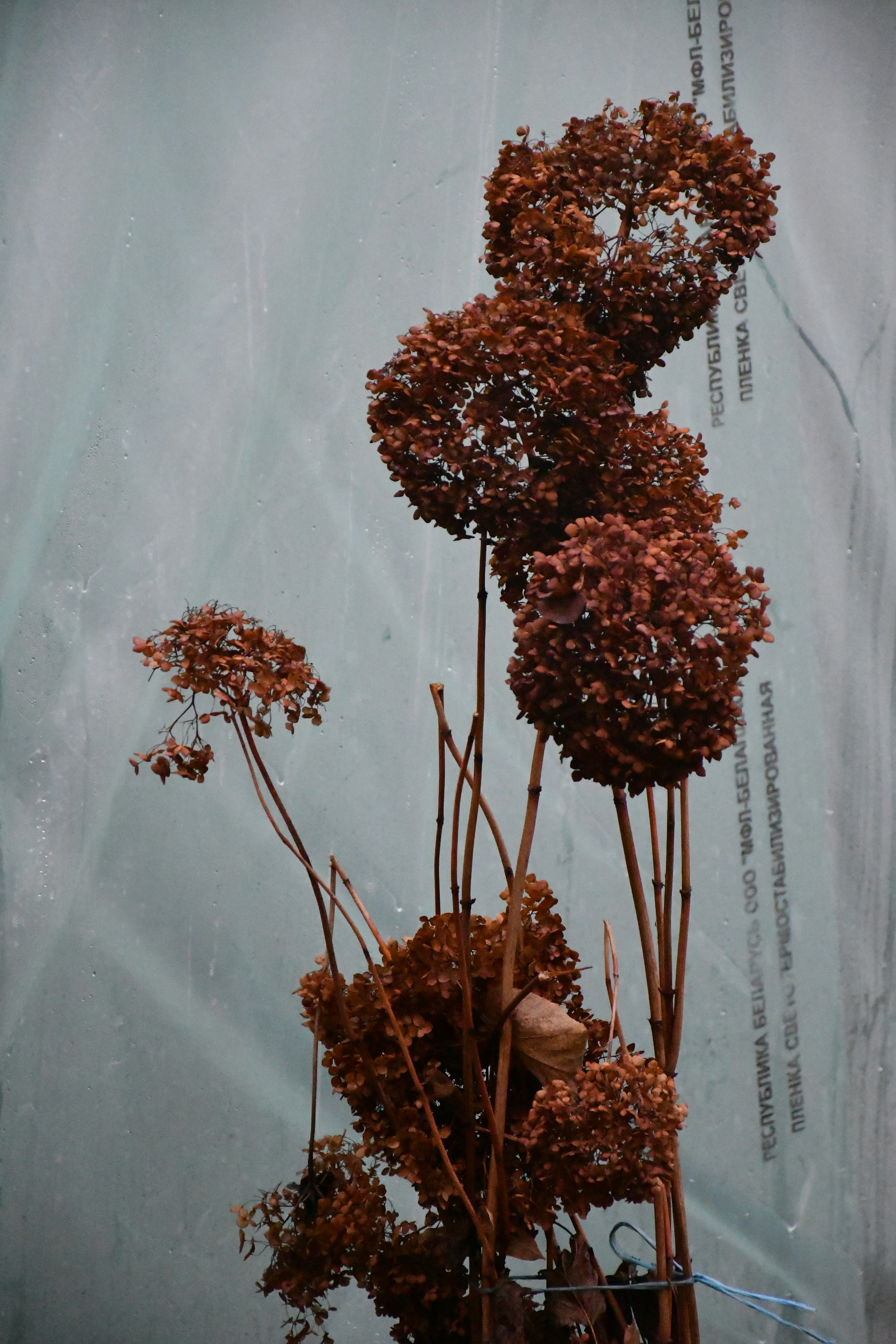 Photo by anna_kharkivska