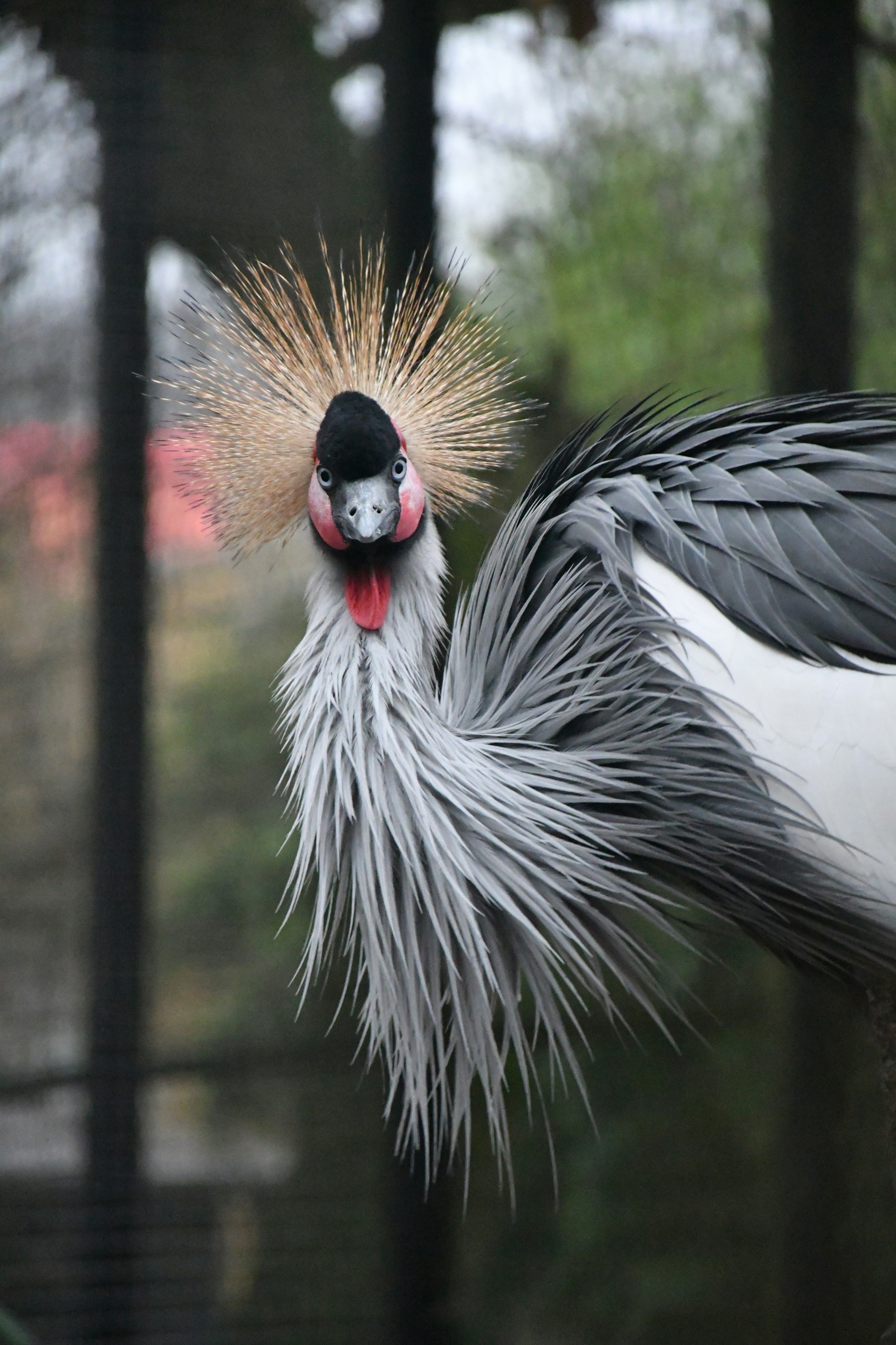 Photo by anna_kharkivska