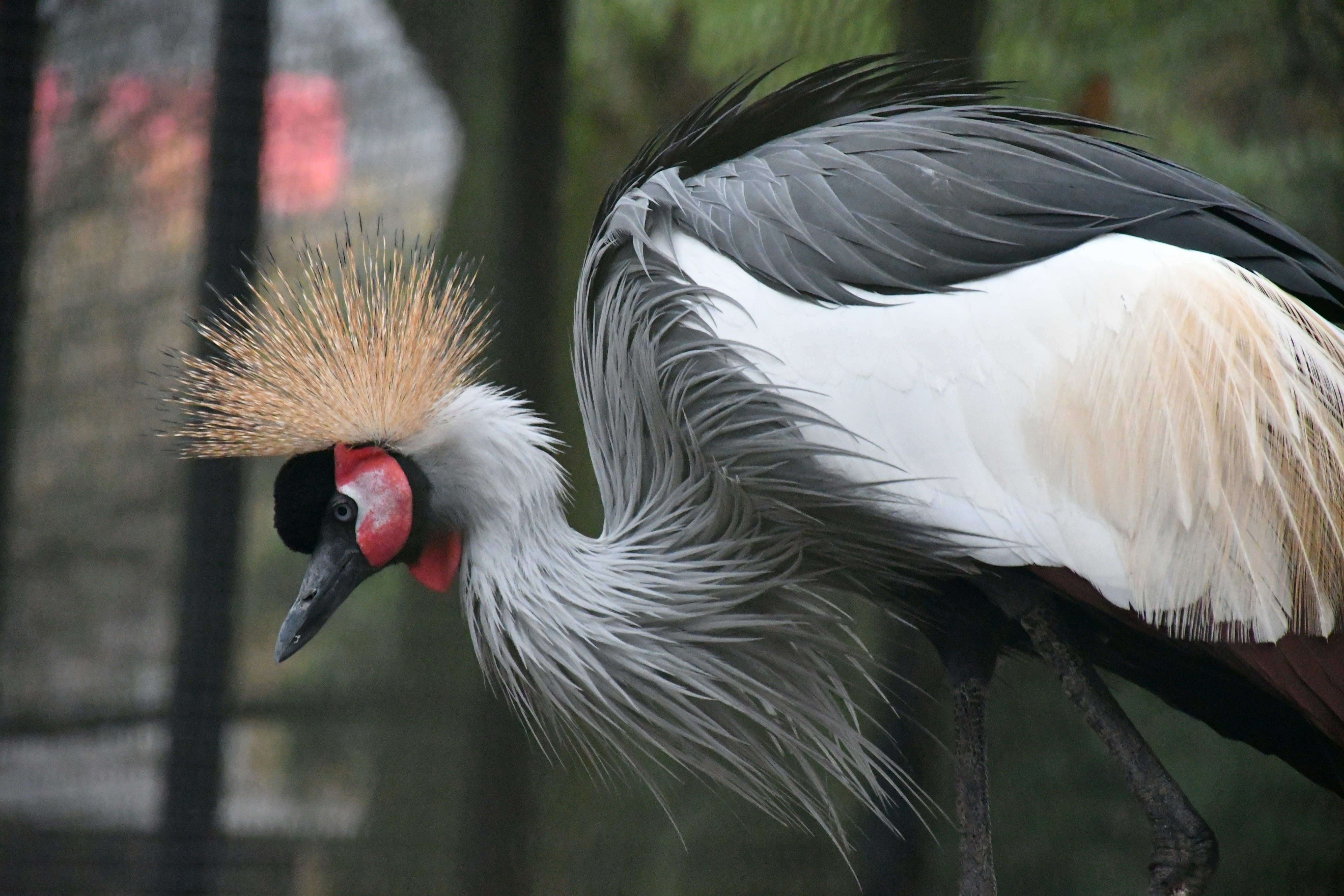 Photo by anna_kharkivska