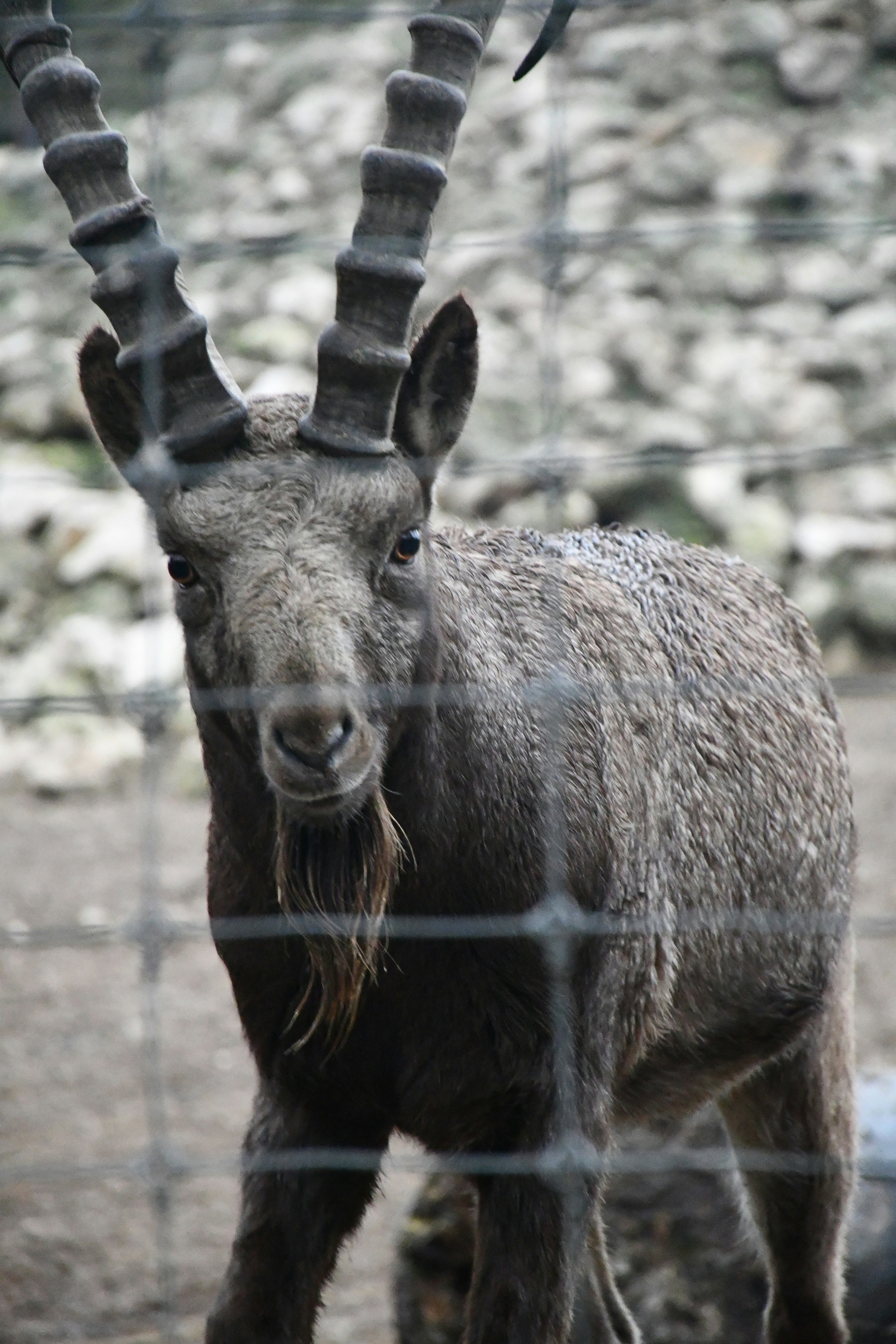 Photo by anna_kharkivska