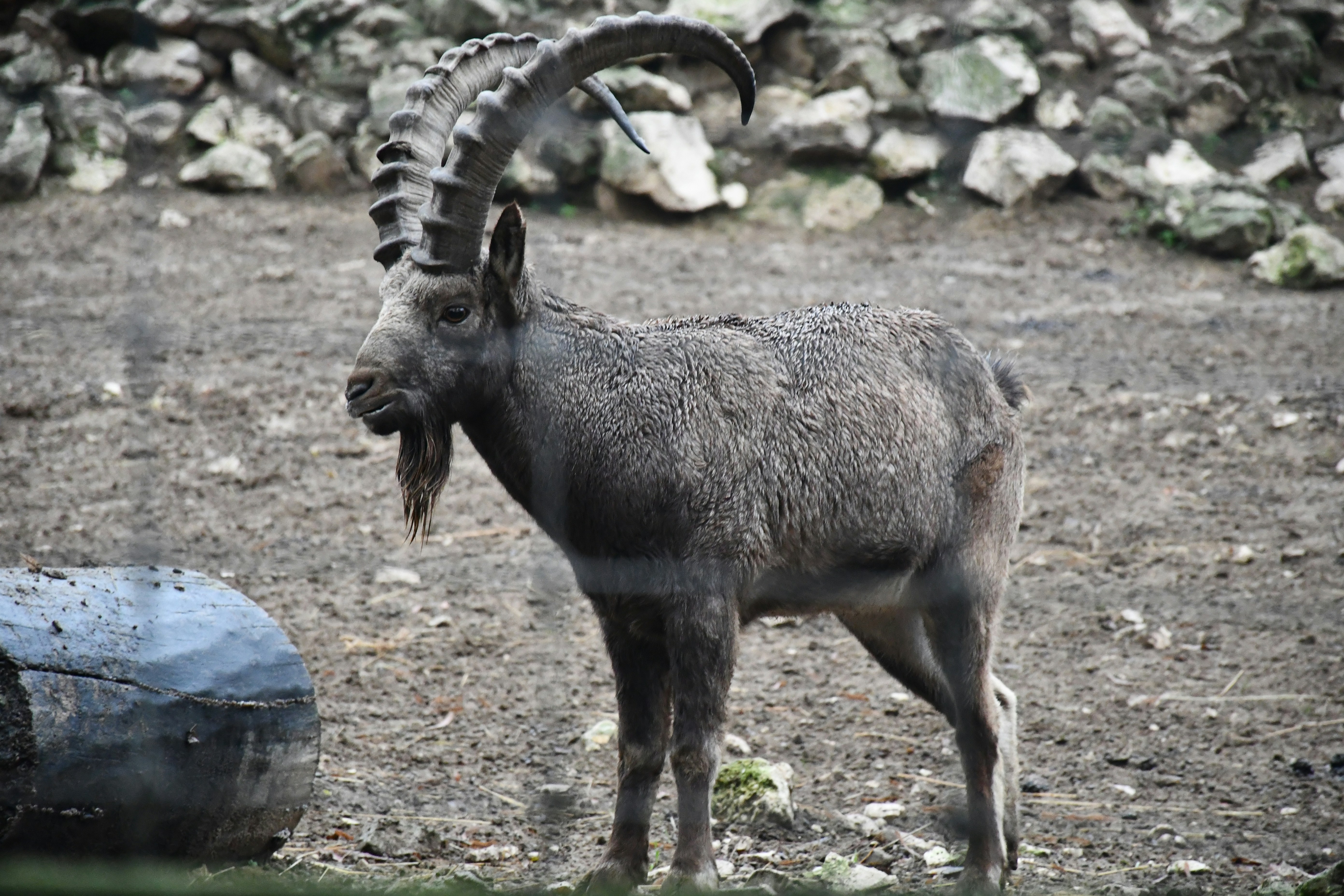 Photo by anna_kharkivska