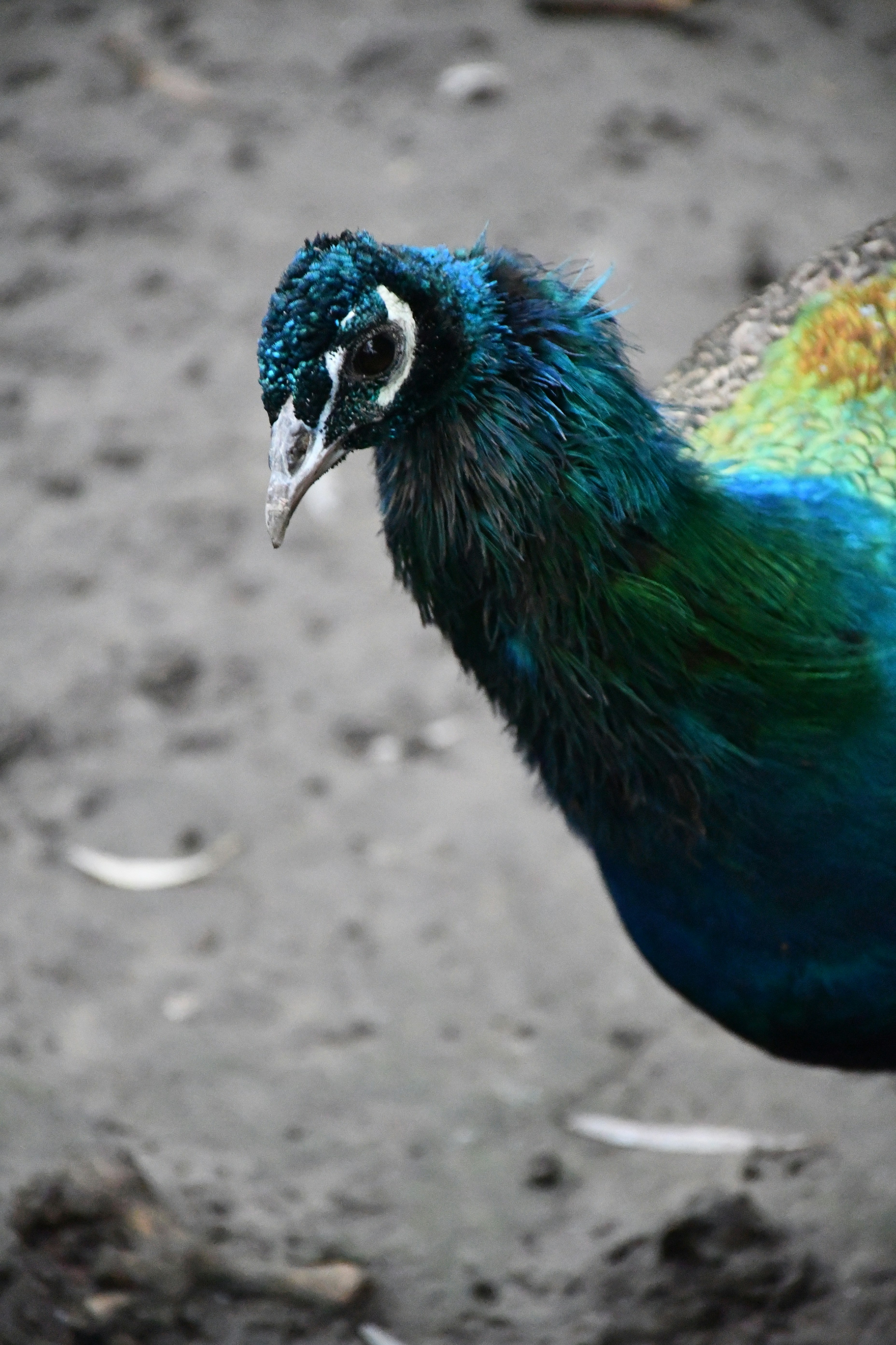 Photo by anna_kharkivska