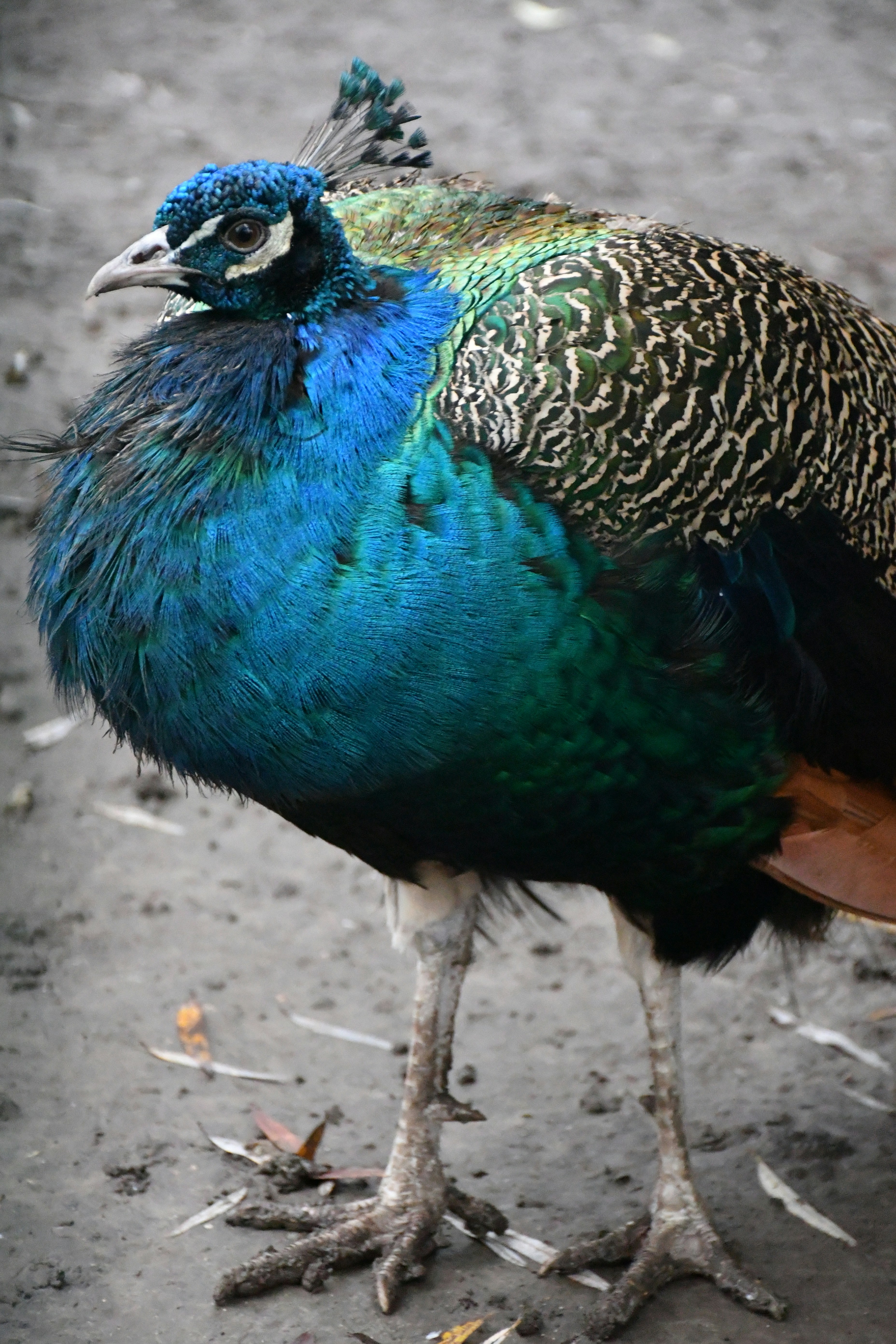 Photo by anna_kharkivska