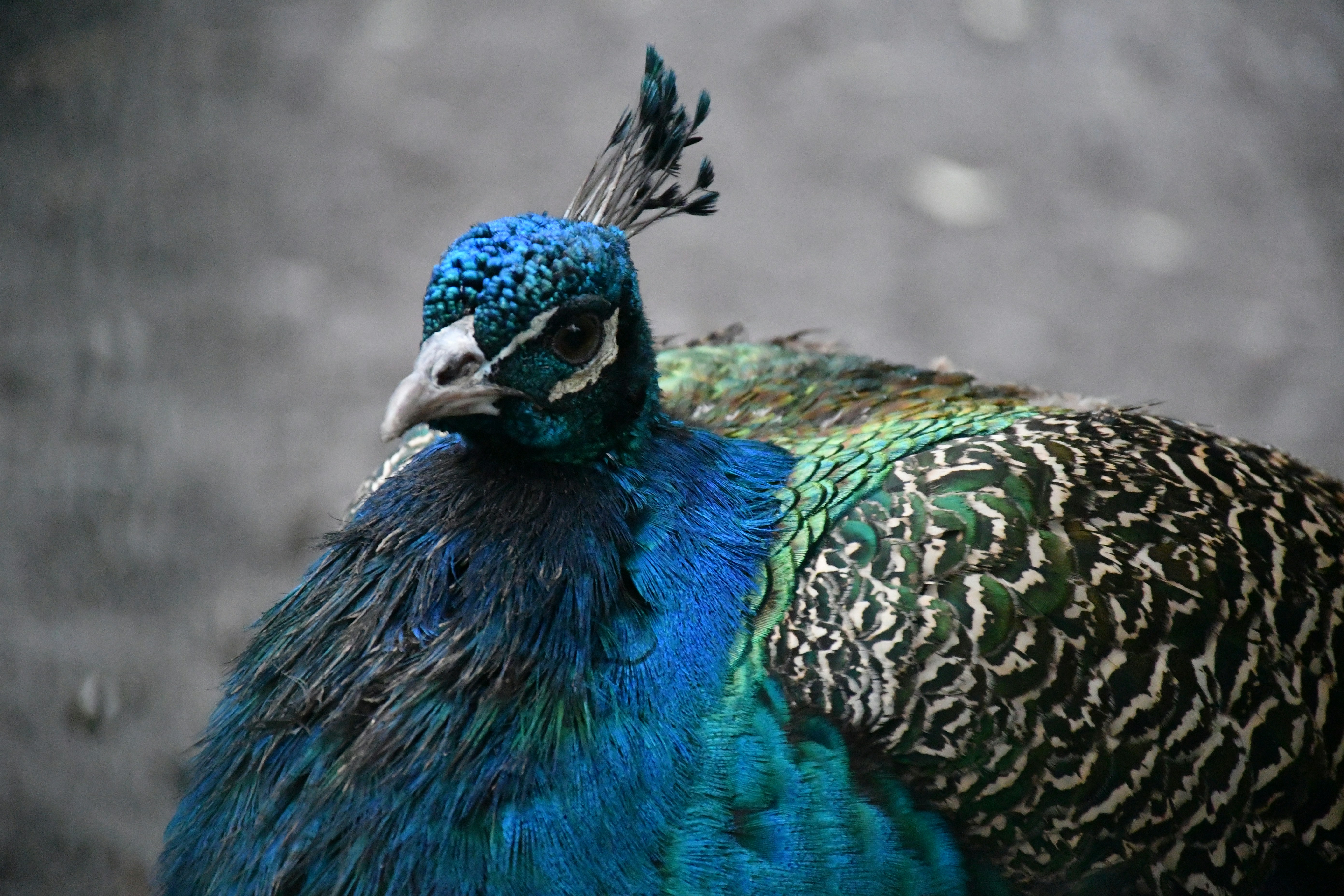 Photo by anna_kharkivska