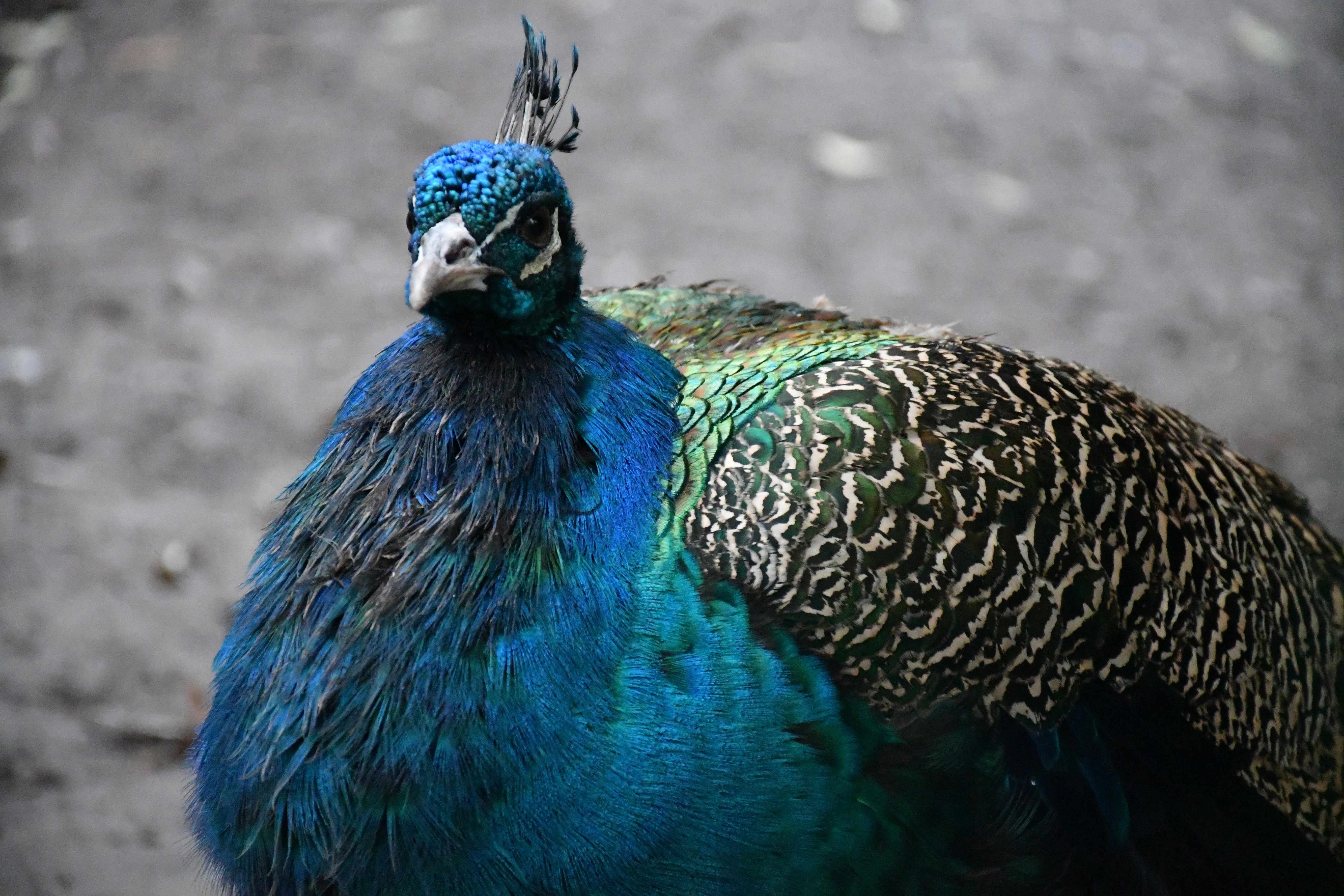 Photo by anna_kharkivska