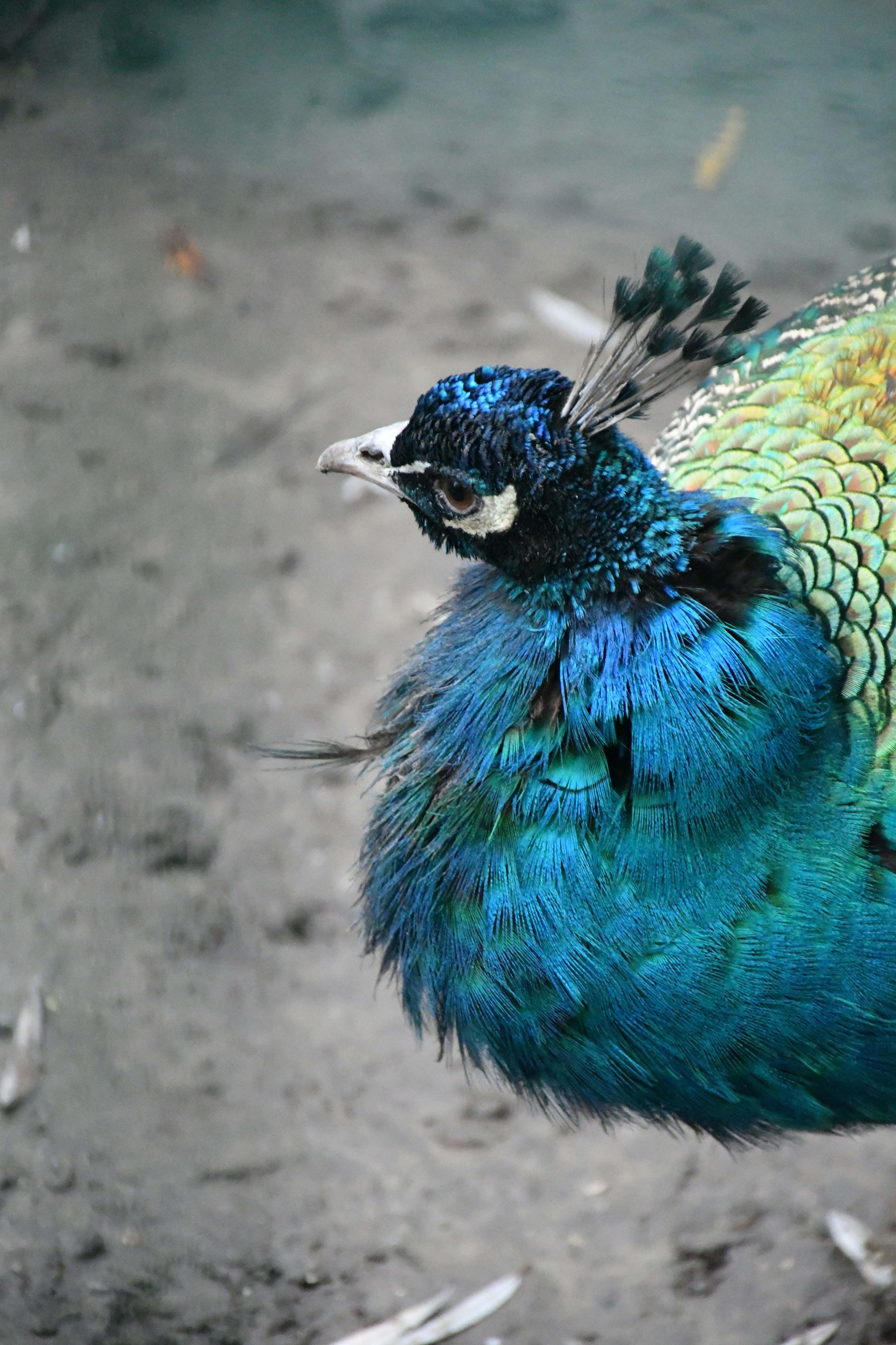 Photo by anna_kharkivska