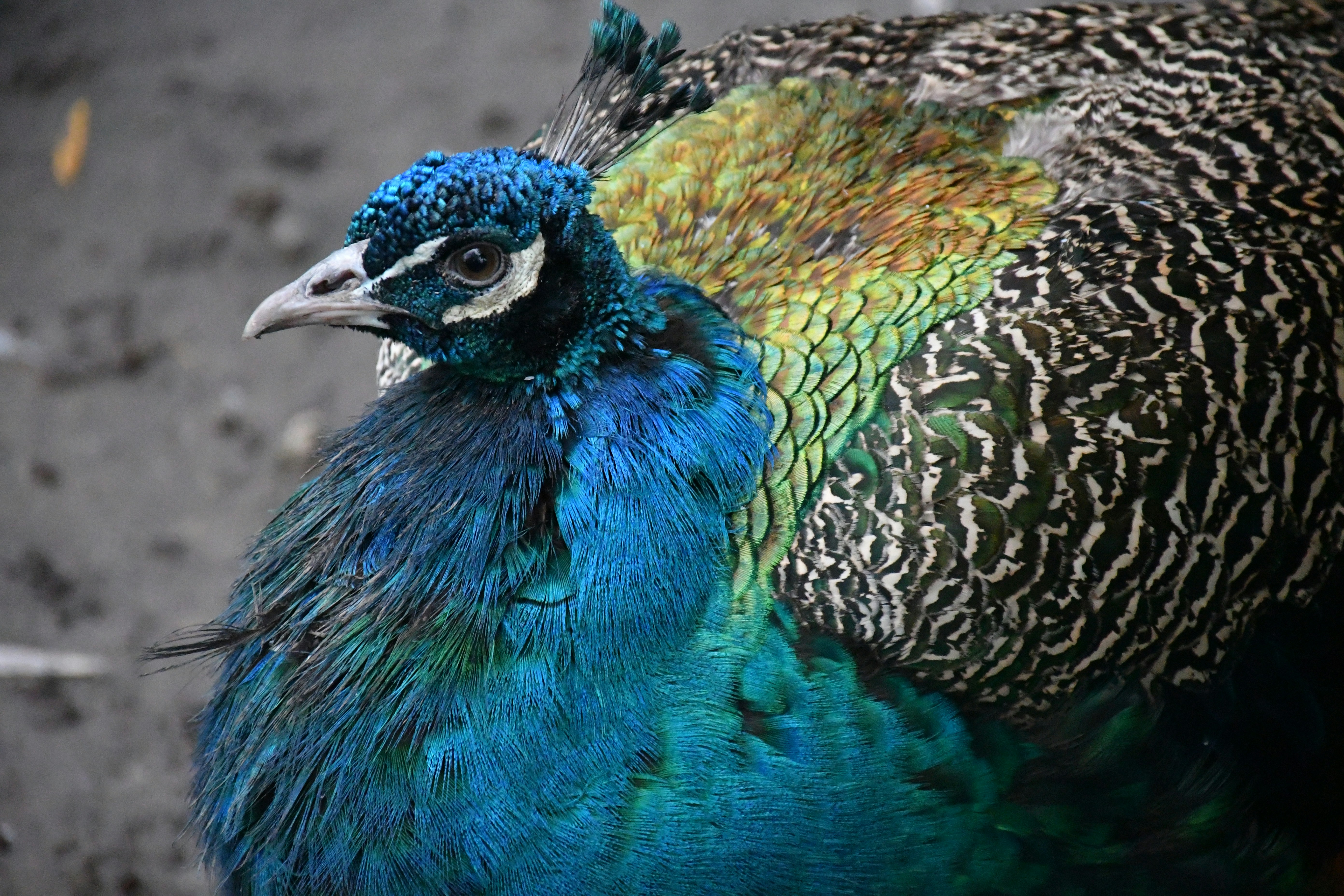 Photo by anna_kharkivska