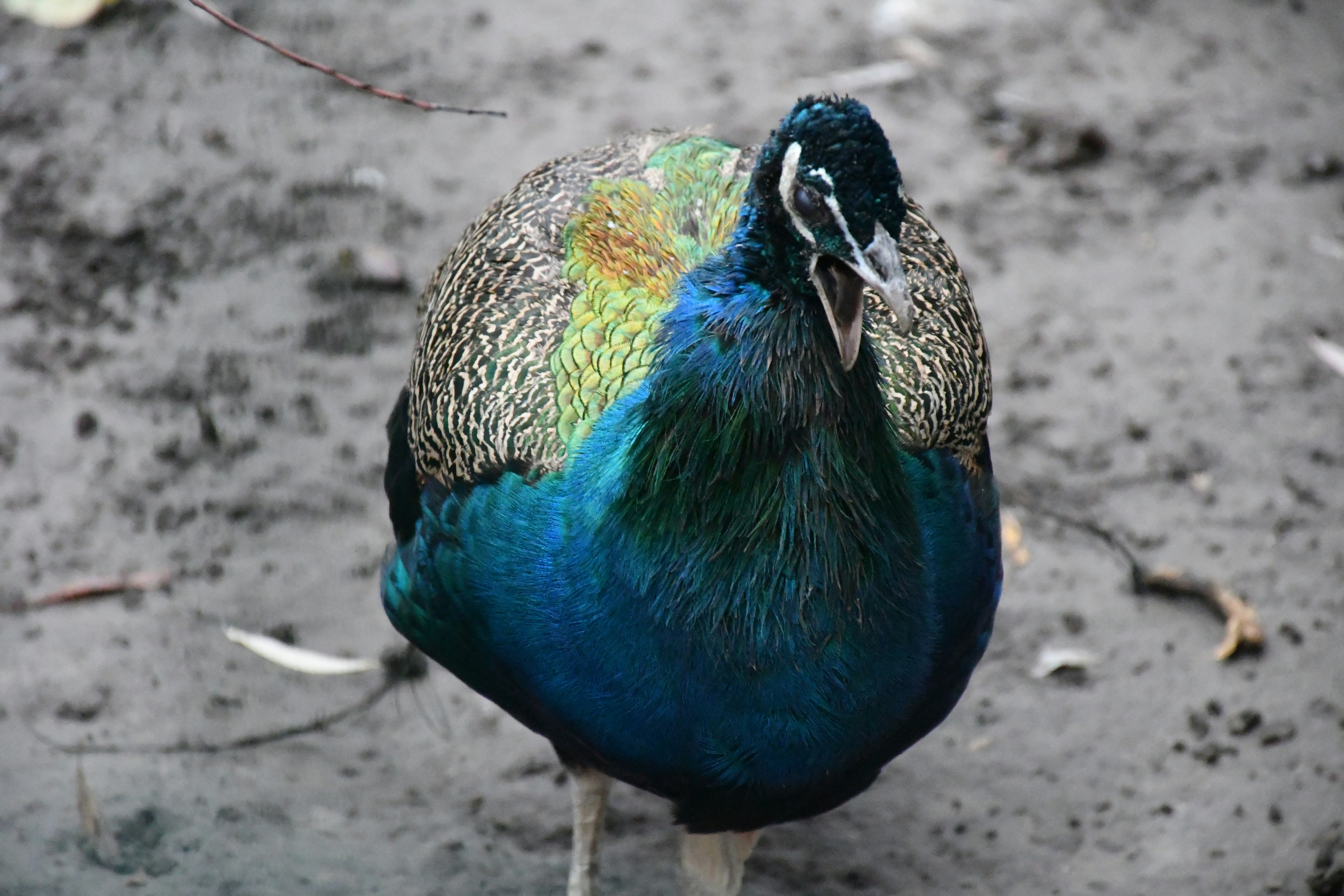 Photo by anna_kharkivska