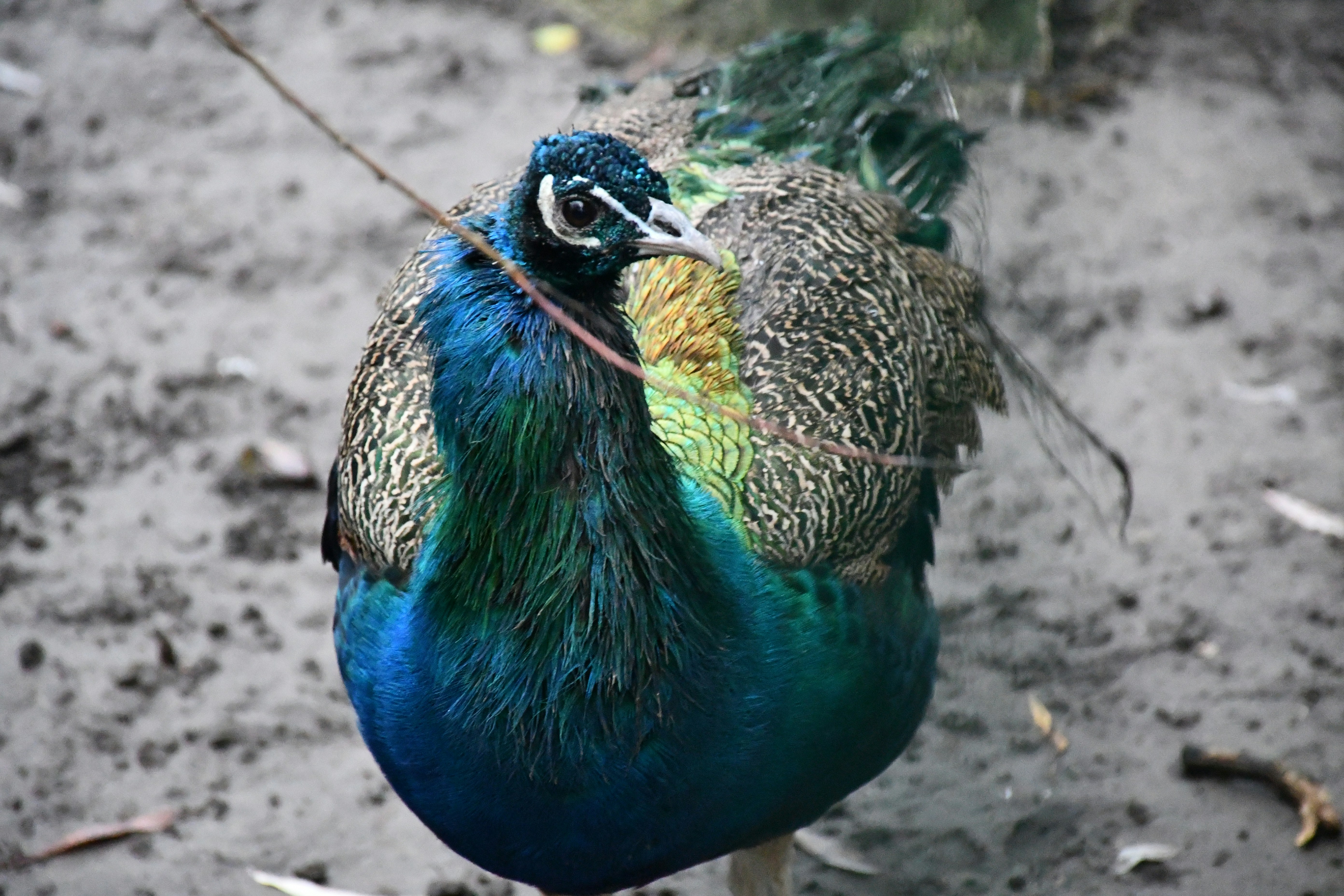 Photo by anna_kharkivska