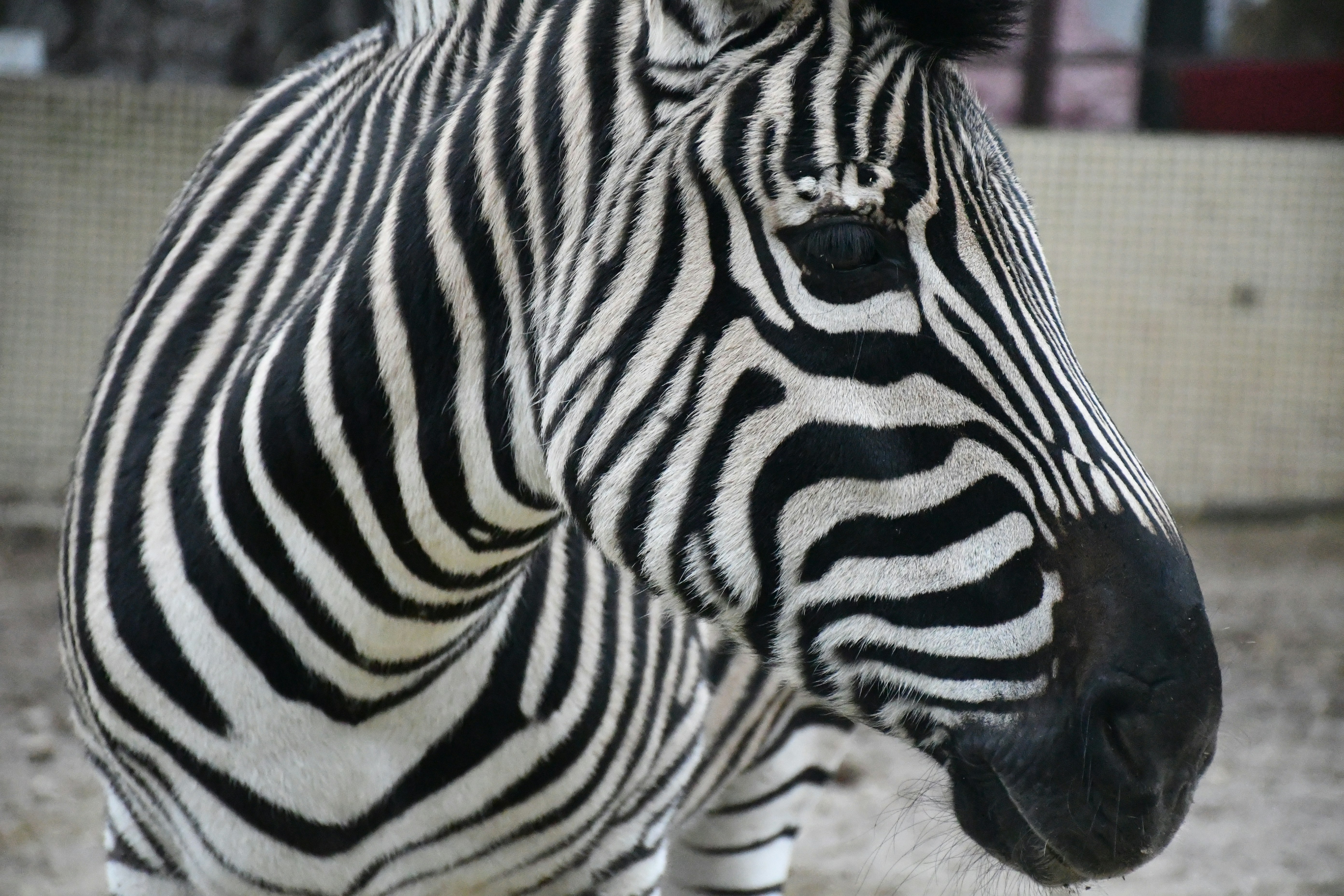 Photo by anna_kharkivska