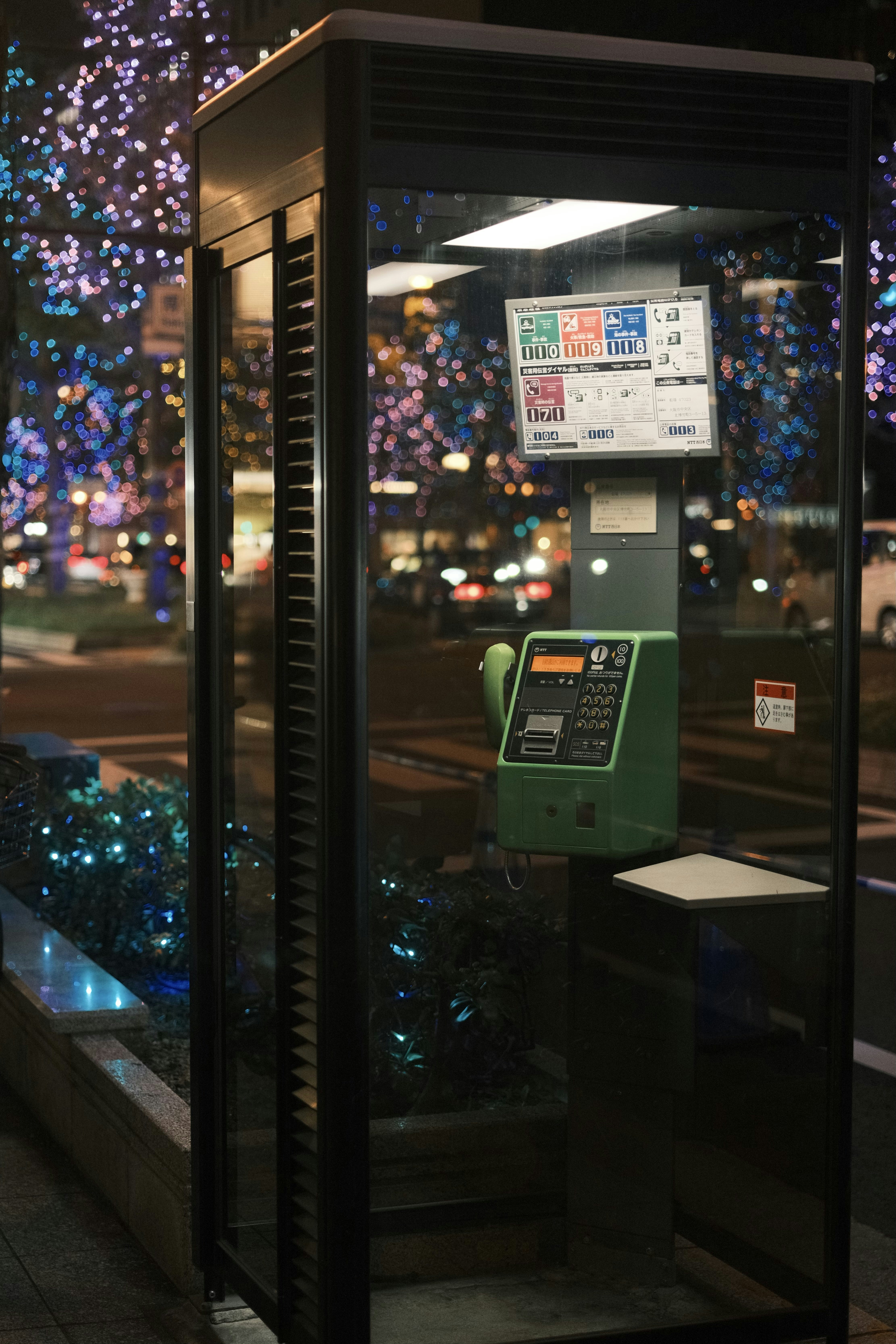 Photo by leo_gilgamesh