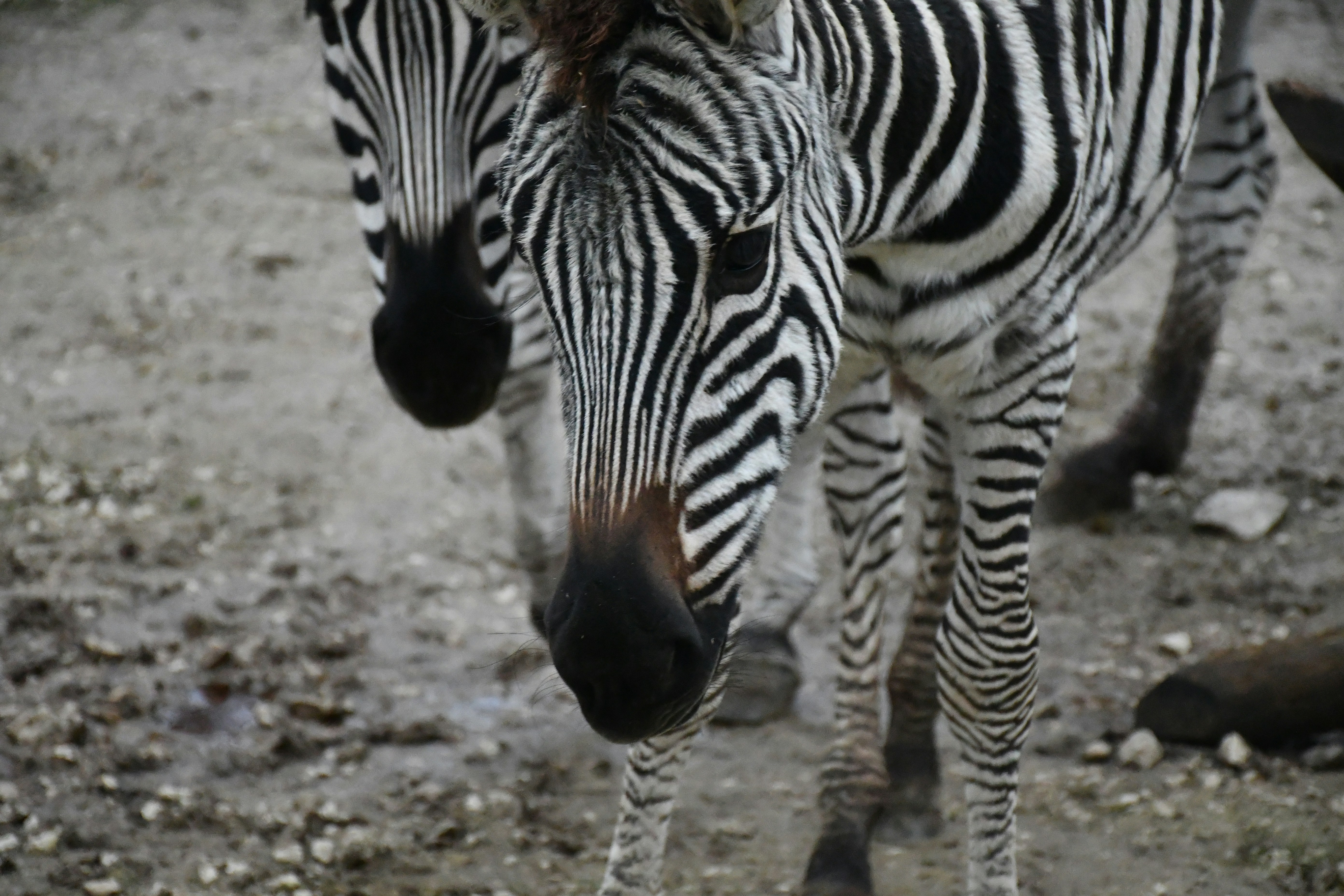 Photo by anna_kharkivska